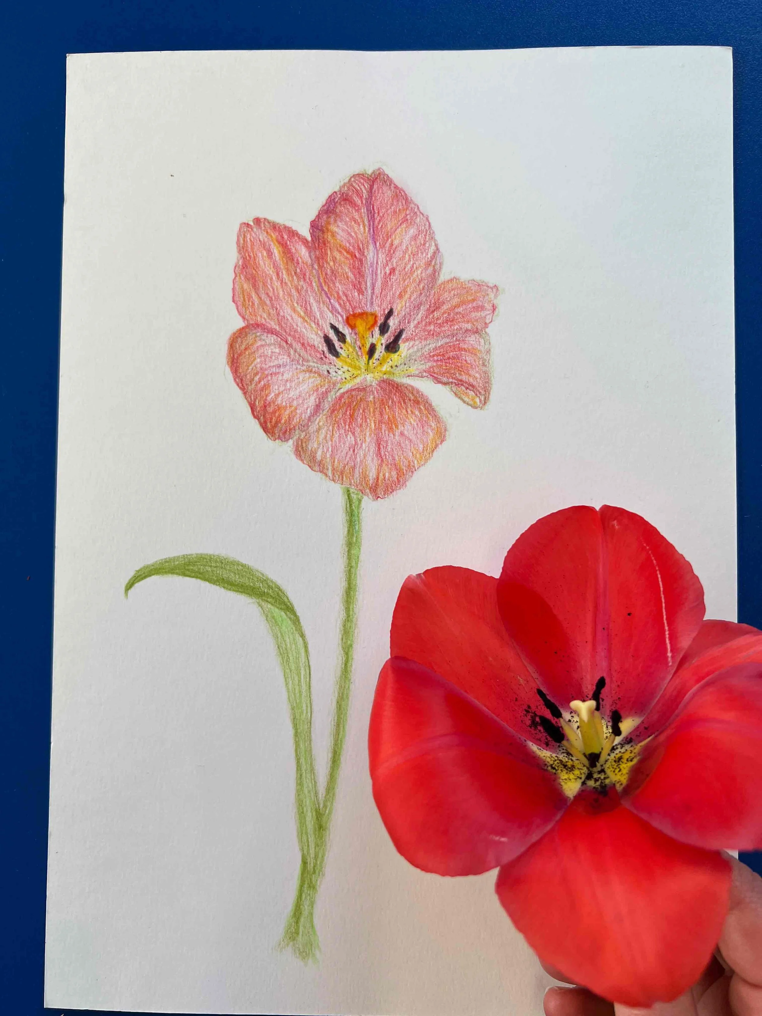 botanical-2.jpg