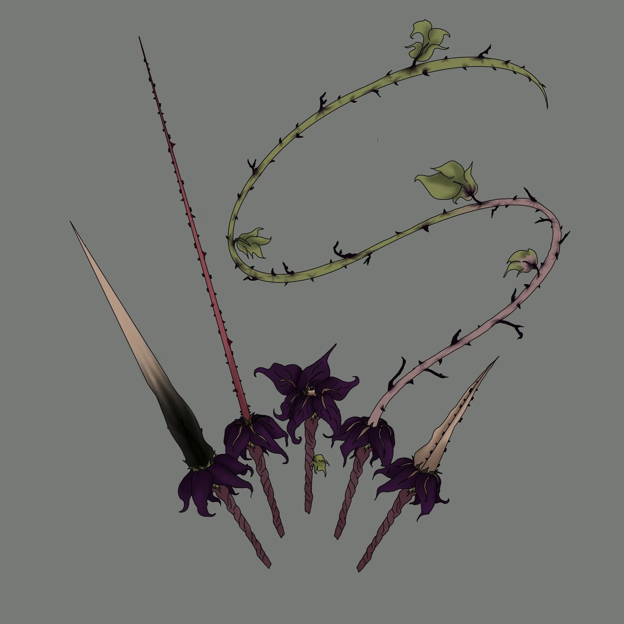 Illustration of several dark purple flowers with thorny stems and elongated pointed seed pods on a gray background. magical dungeons and dragons weapon.
