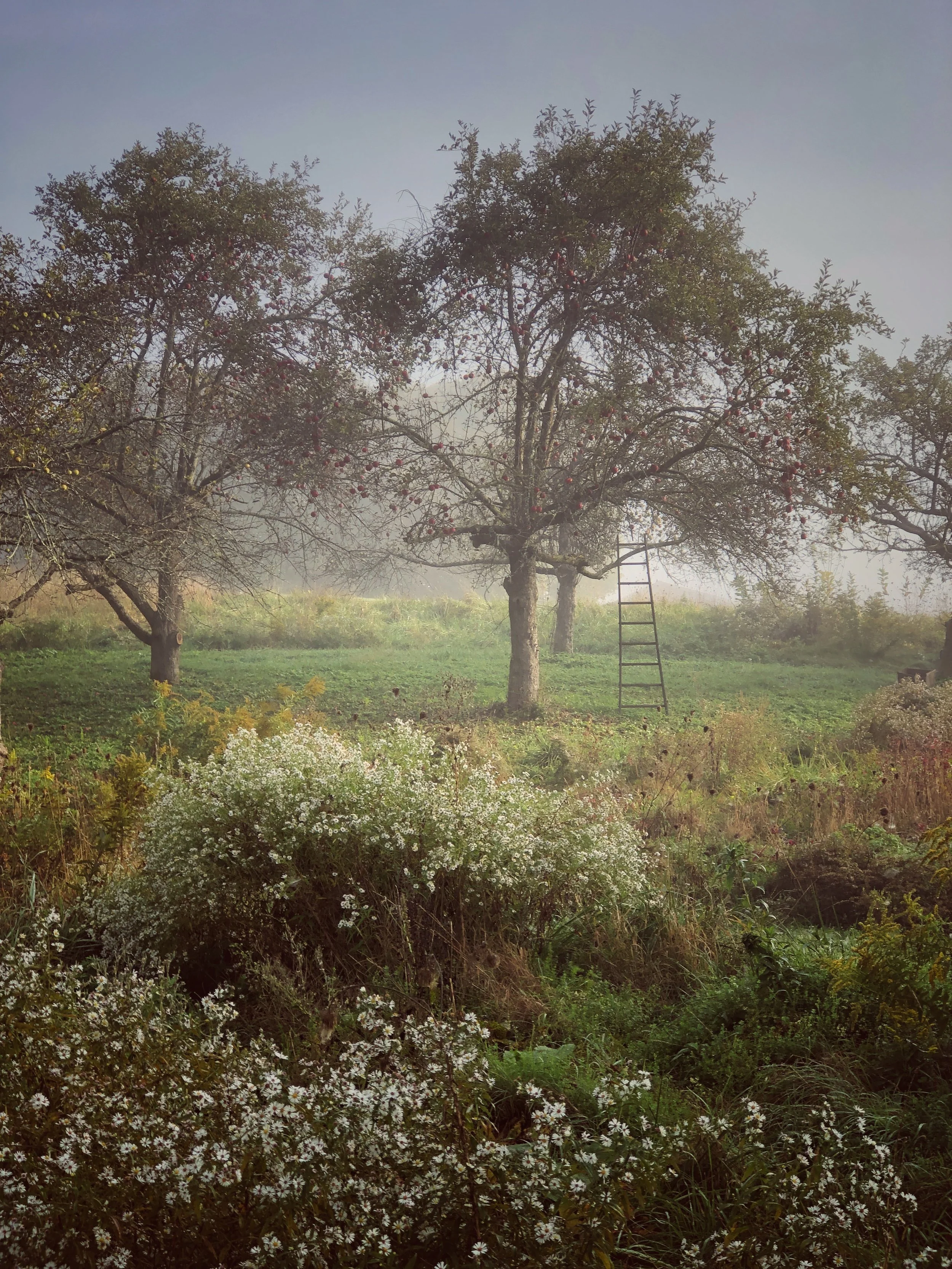 hudson valley new york