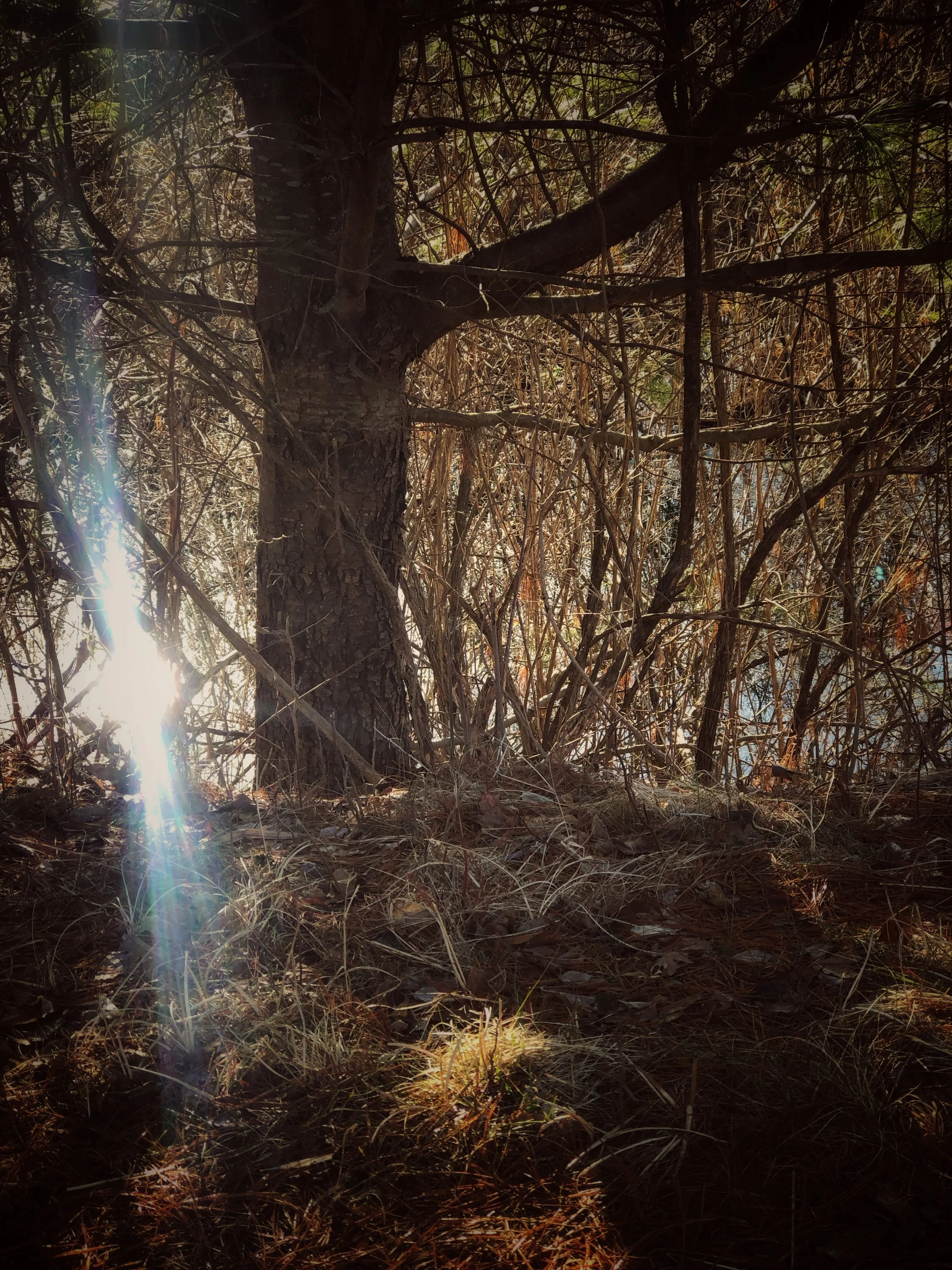 salisbury connecticut