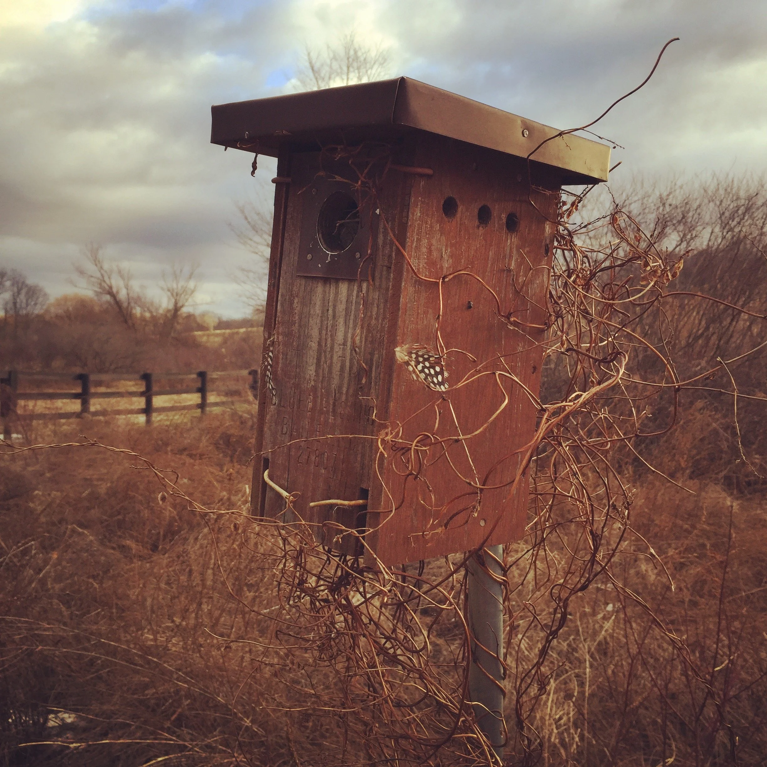 old wooden bird house millbrook new york