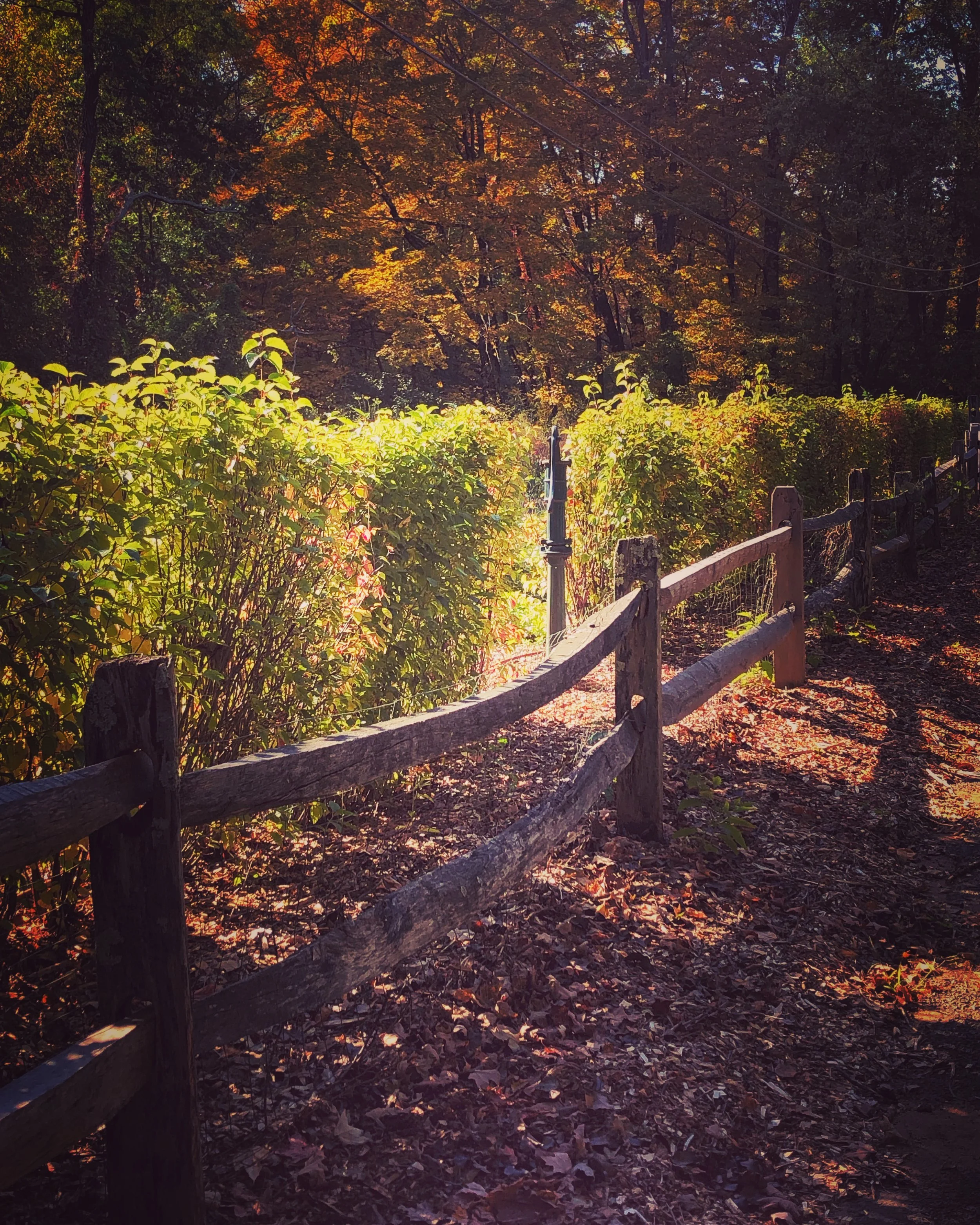 wooden fence simsbury connecticut