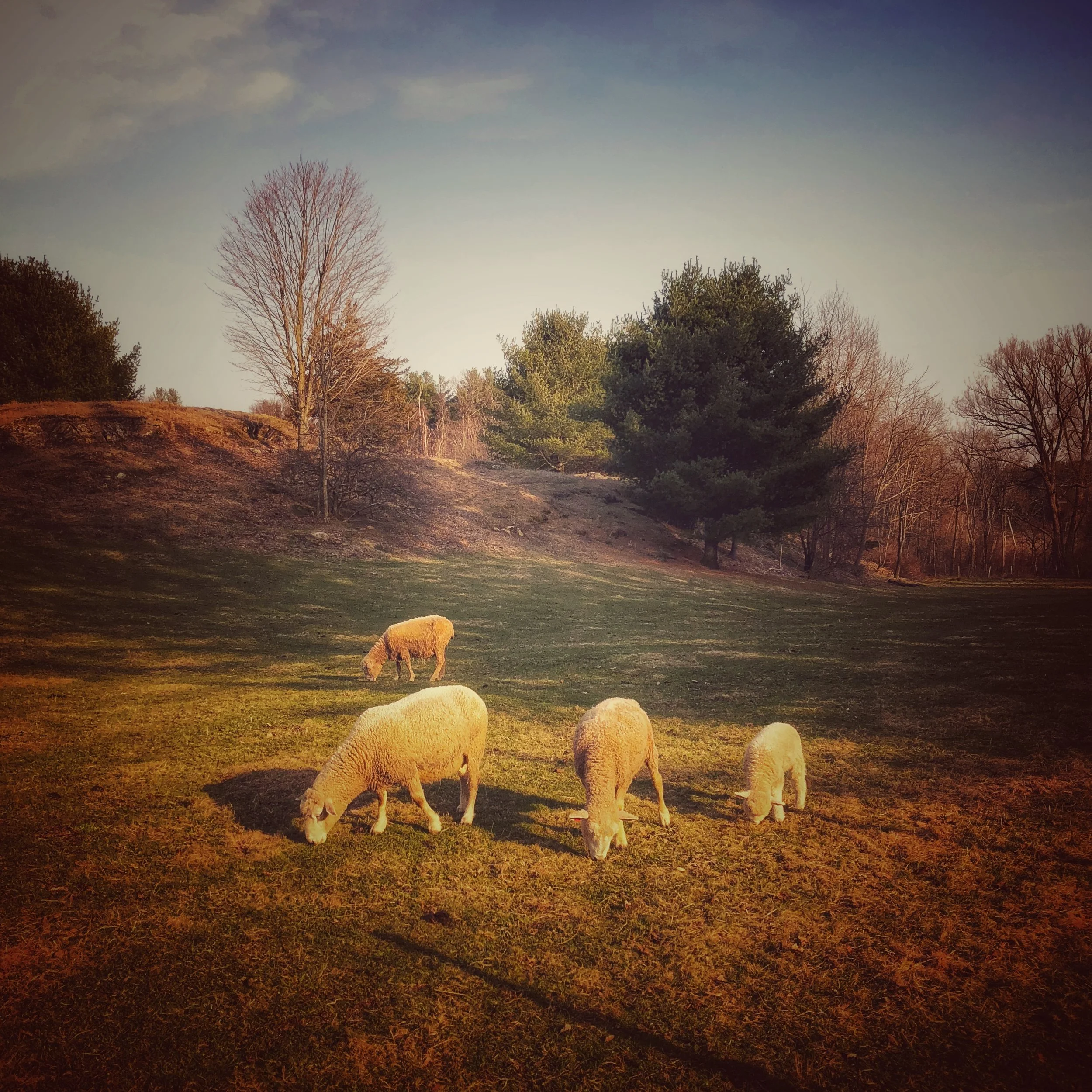 egremont massachusetts 