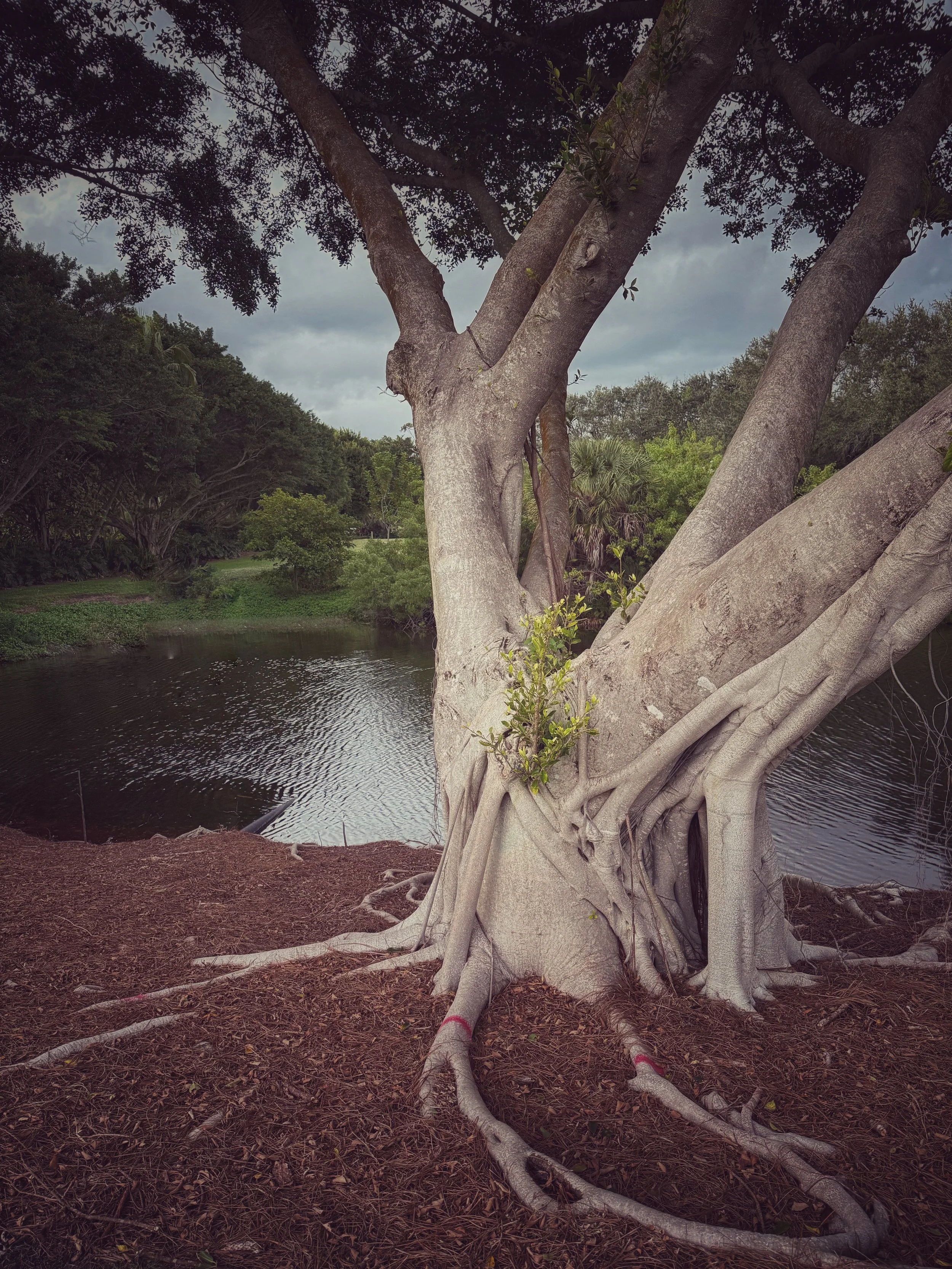 palm beach gardens florida