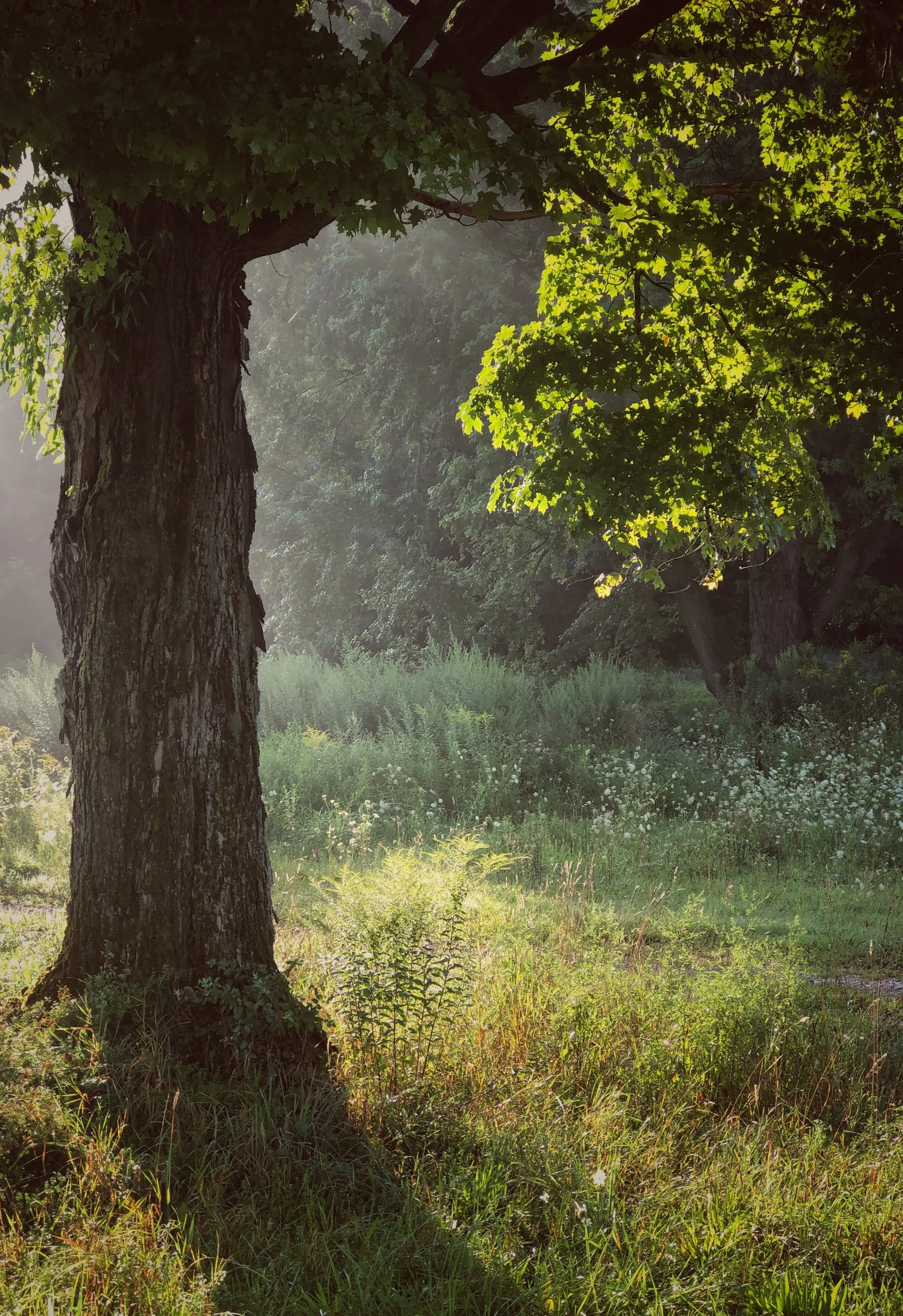 hudson valley new york