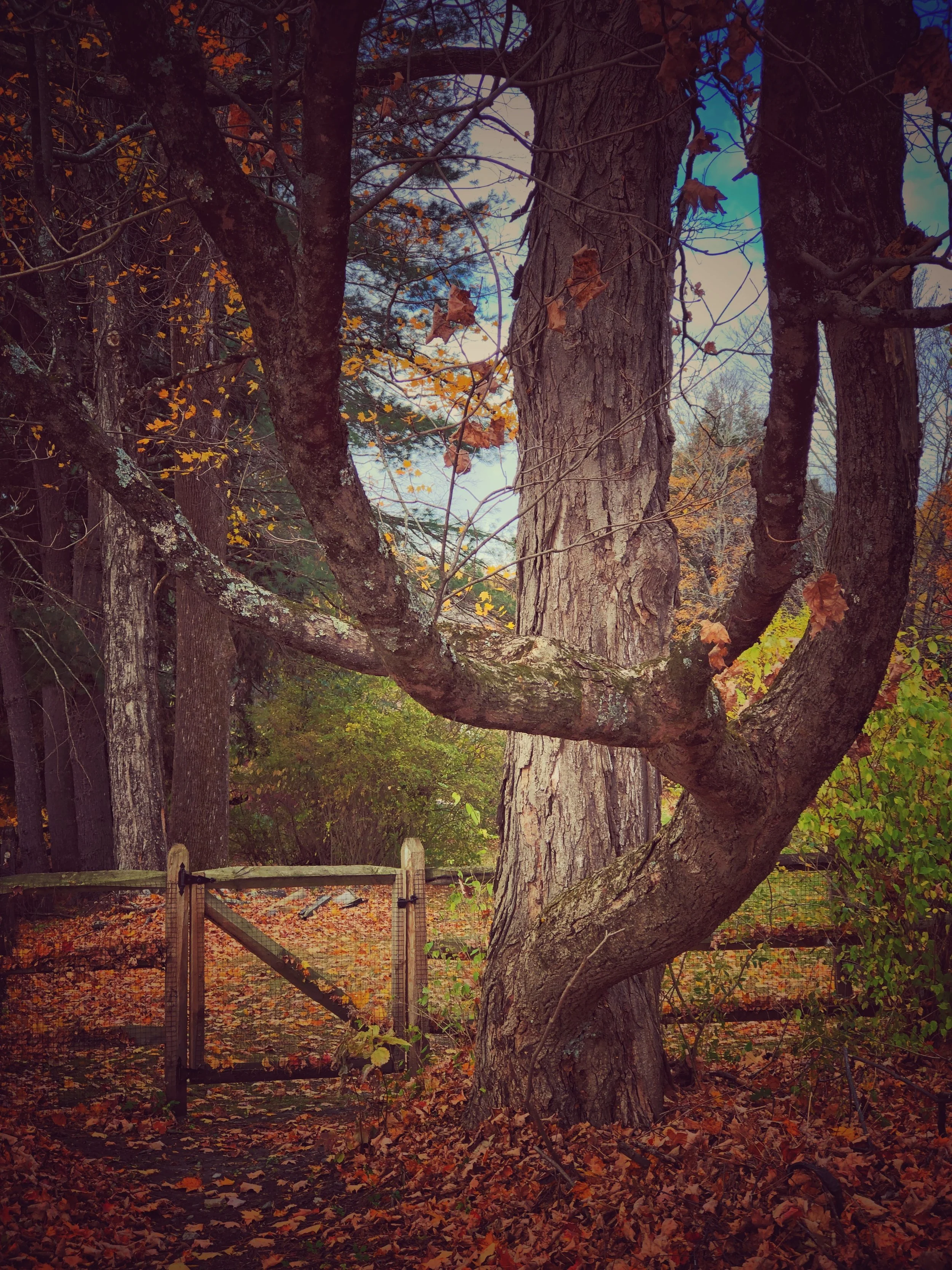 salisbury connecticut