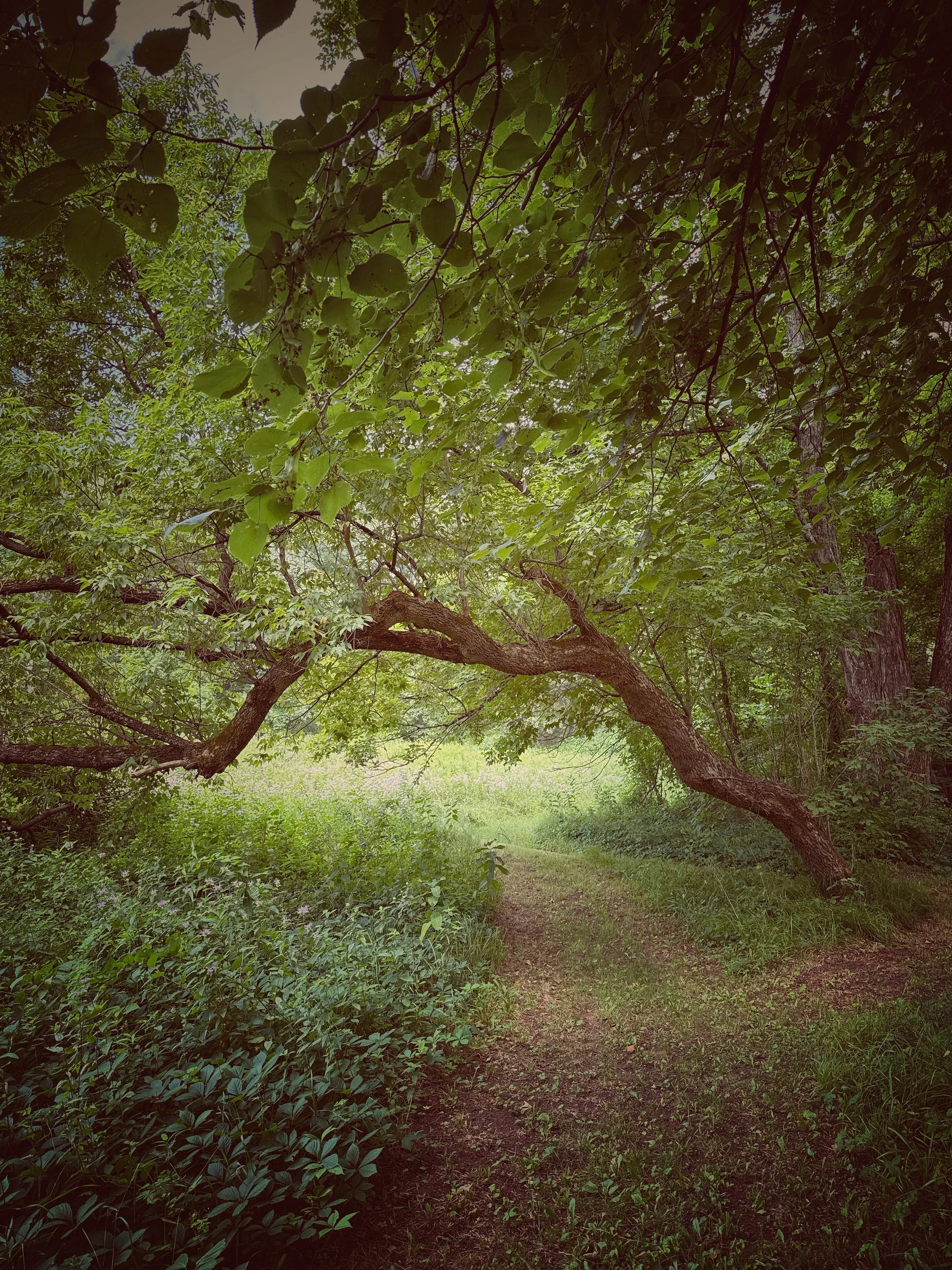 falls village connecticut