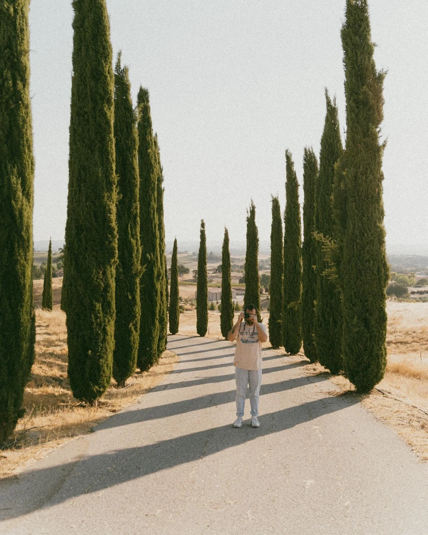 A person is standing on a pathway taking a photo with a camera. The pathway is lined with tall, narrow green cypress trees on both sides, casting long shadows. The landscape in the background is dry with some scattered trees and buildings under a pale sky.