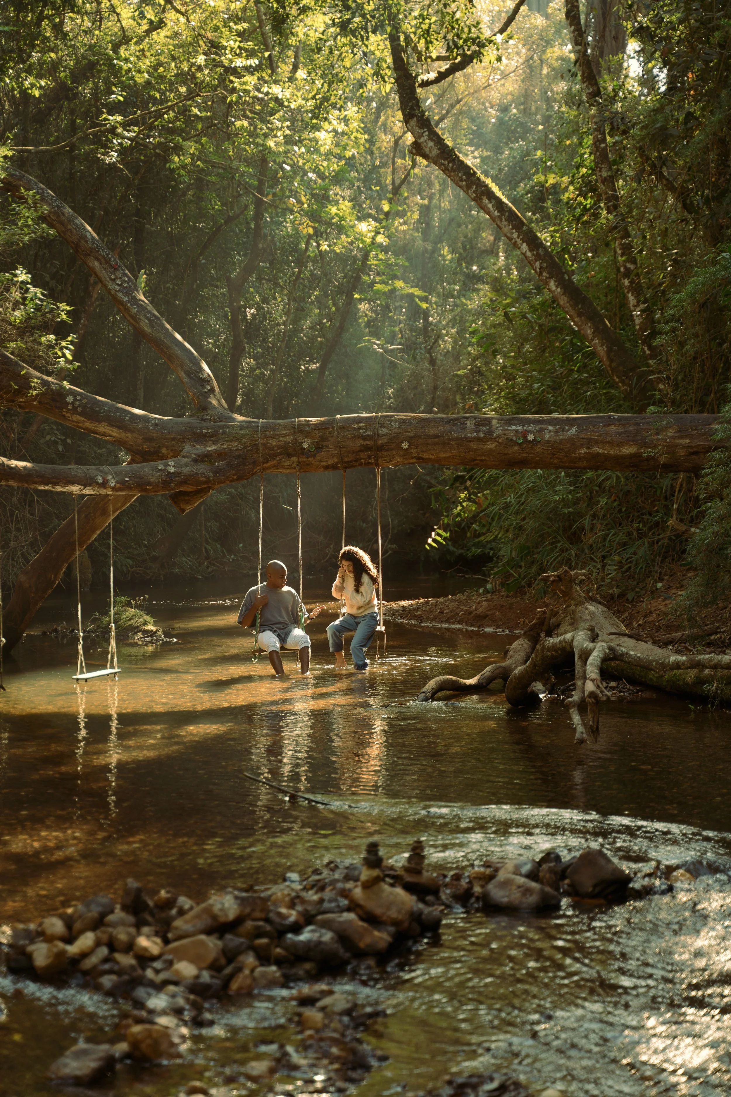 Two children sit on a swing hanging from a large tree branch over a creek in a forest, with sunlight filtering through the trees.