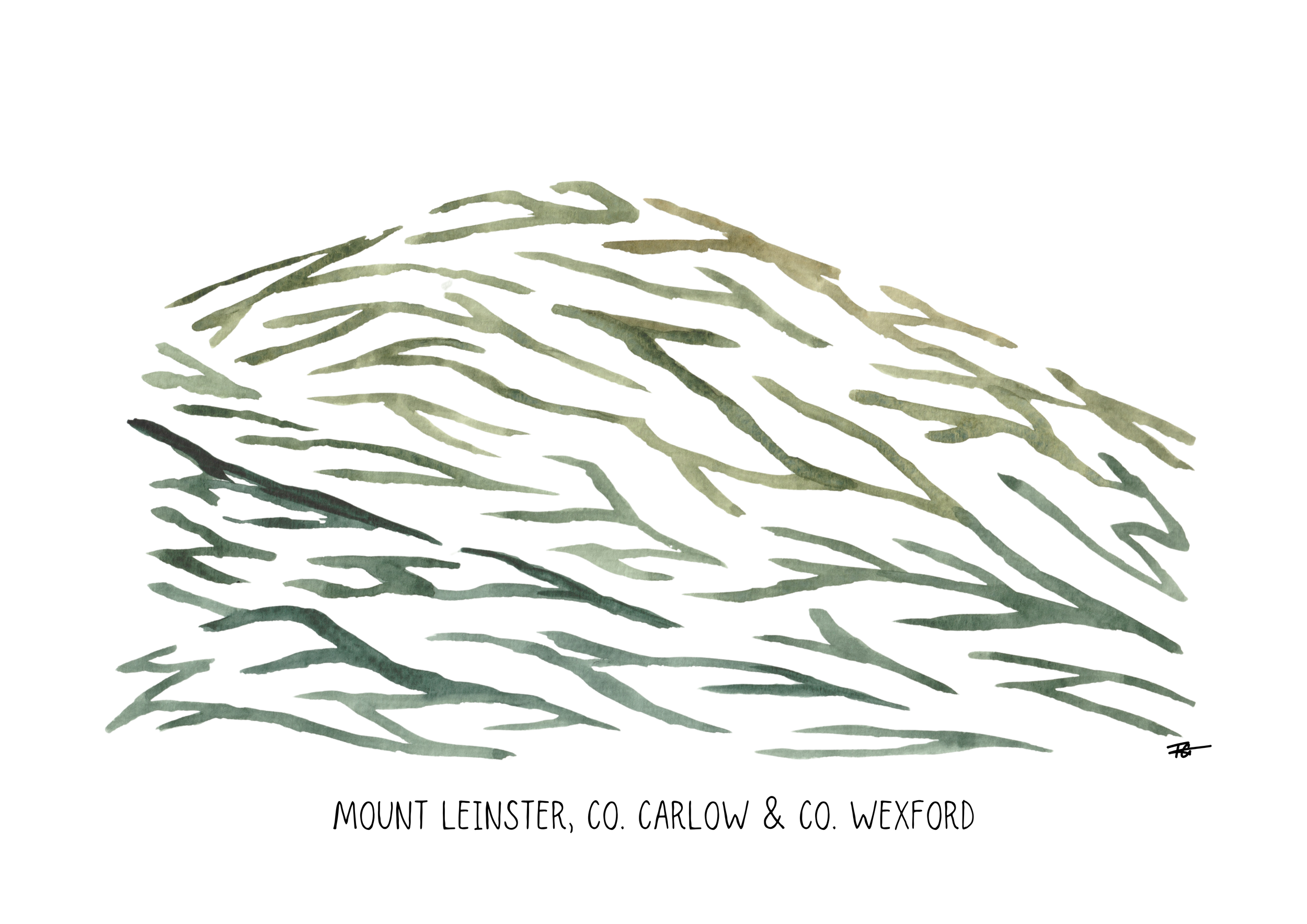 Day 78 Mount Leinster.png