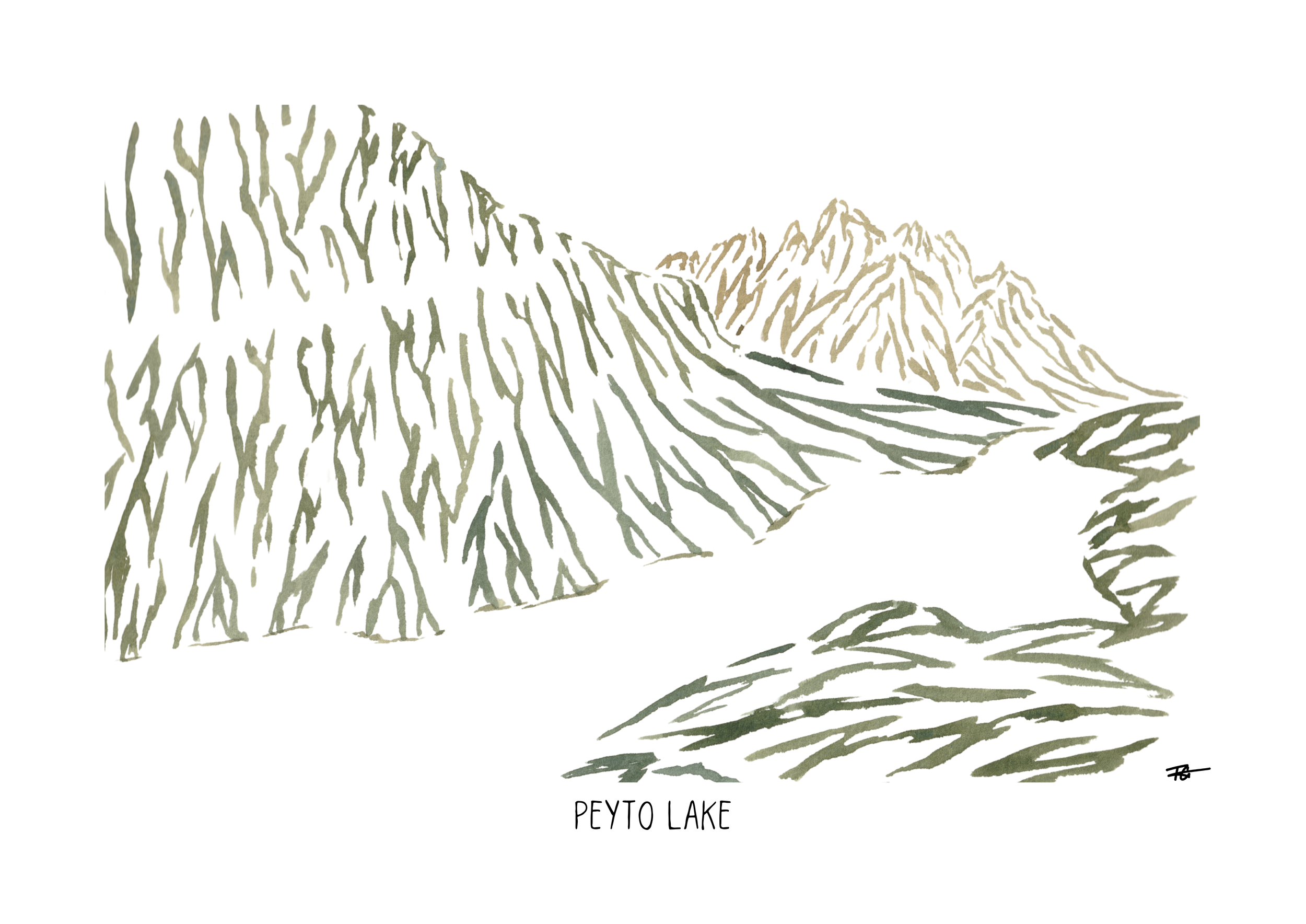 Day 53 Peyto Lake.png