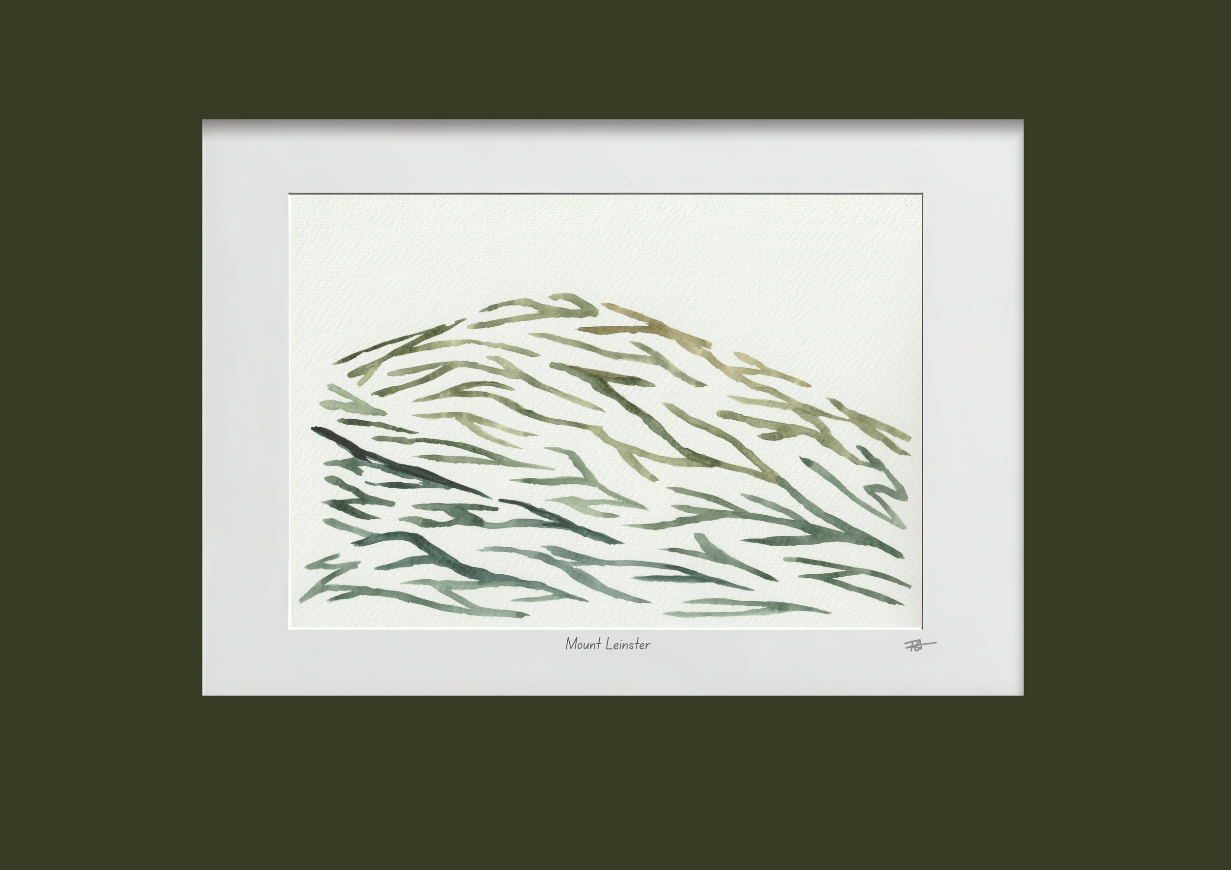 Day 78 Mount Leinster.png