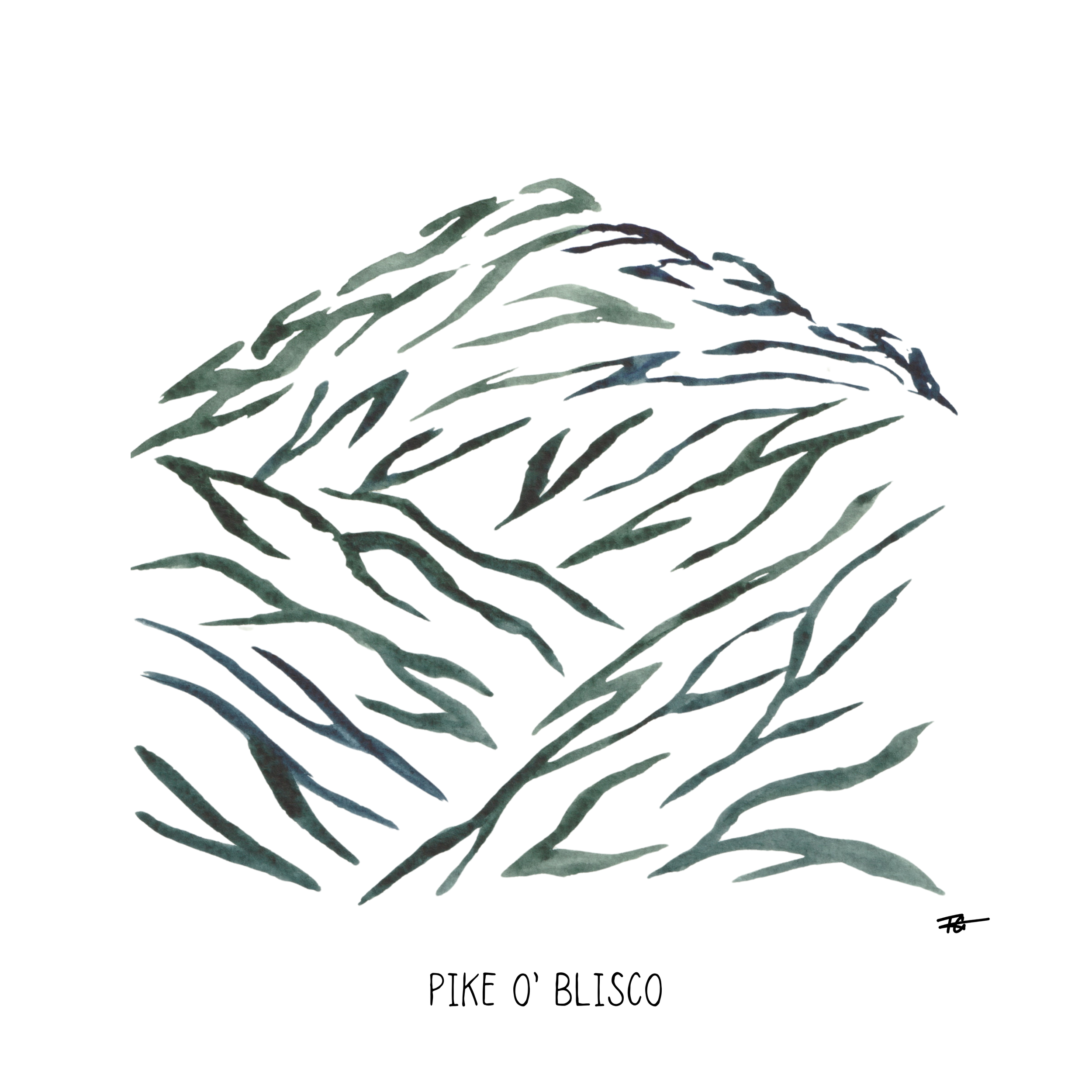 Day 89 Daily Painting - Pike O' Blisco