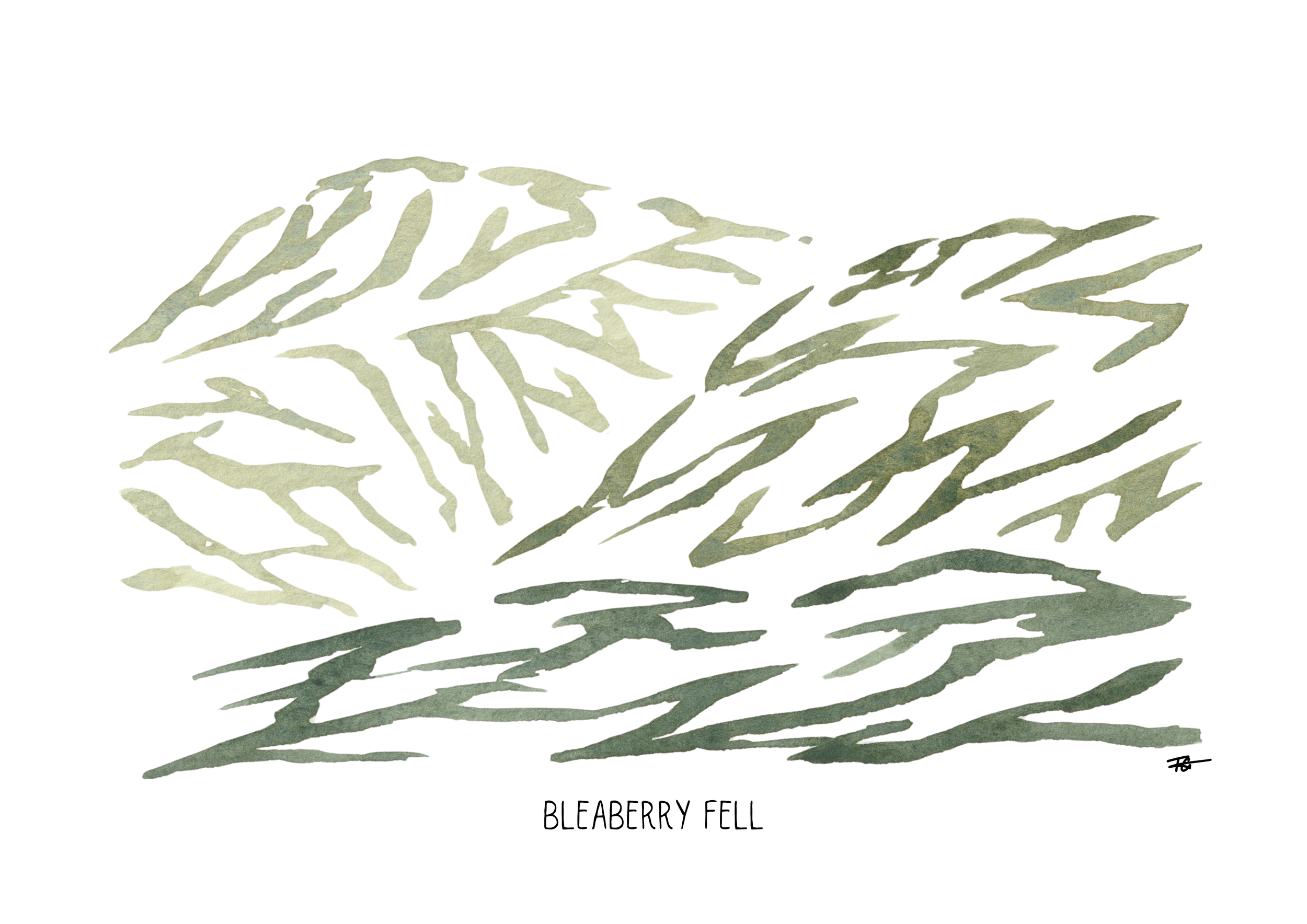 Day 54 Bleaberry Fell.png