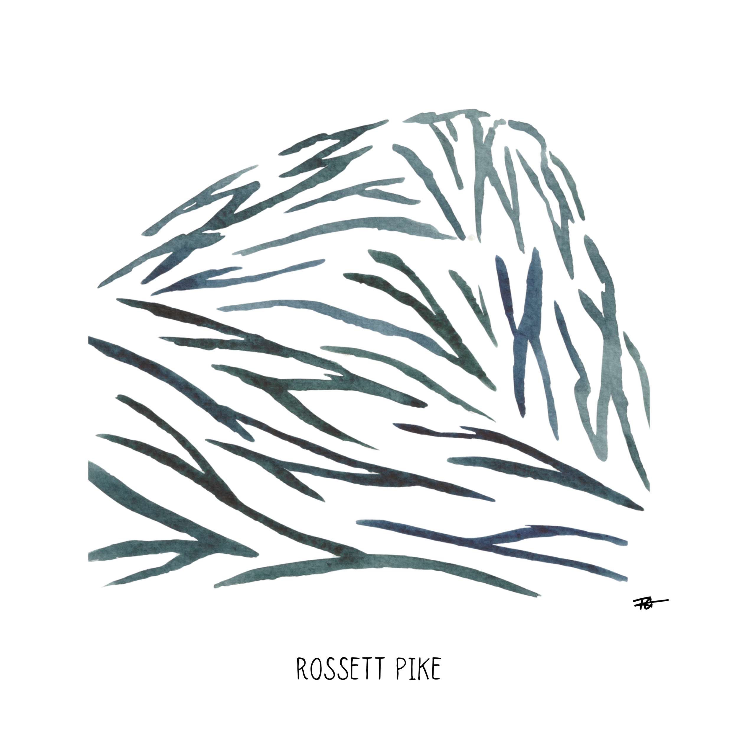 Day 93 Daily Painting - Rossett Pike