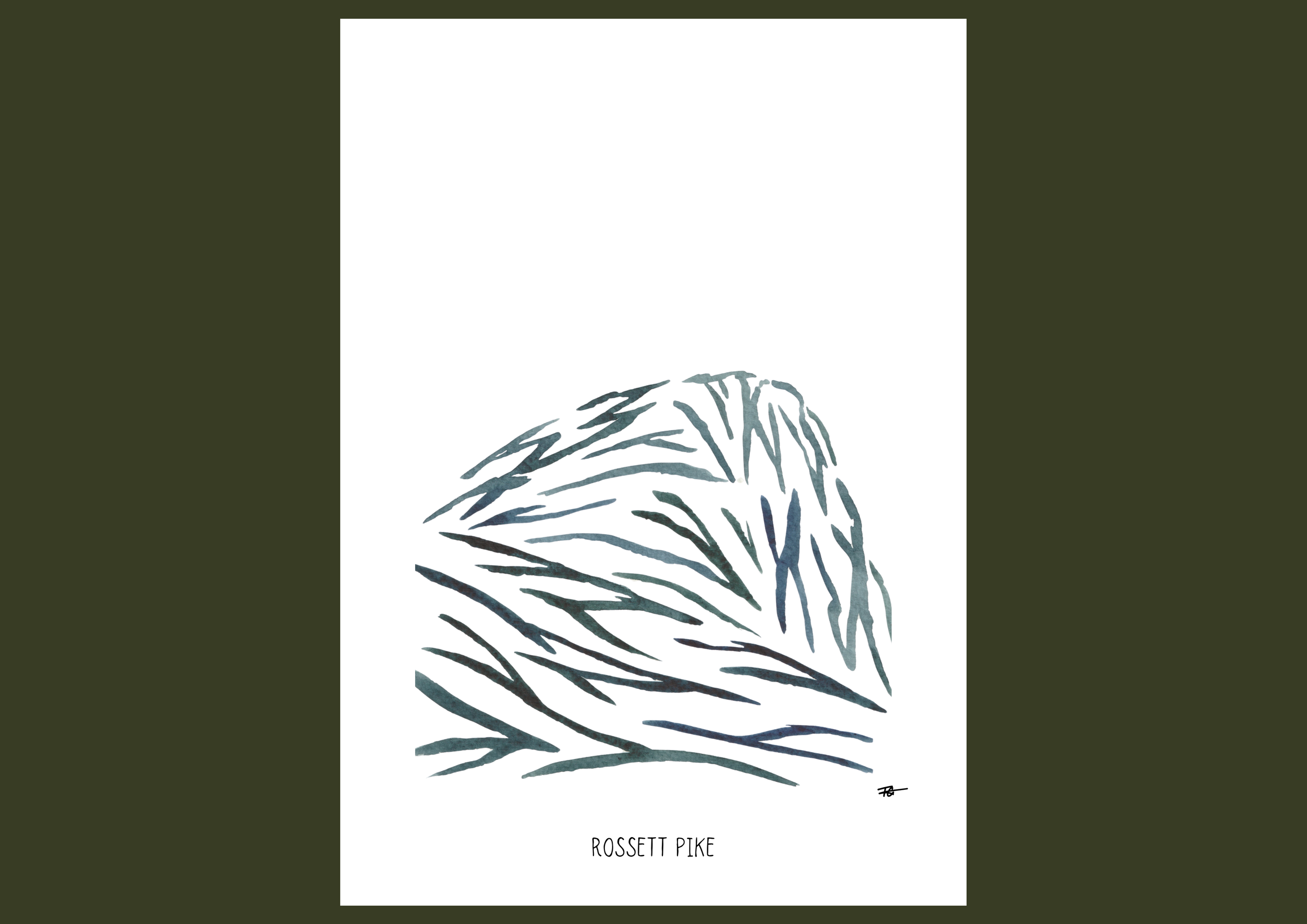 Day 93 Rossett Pike.png