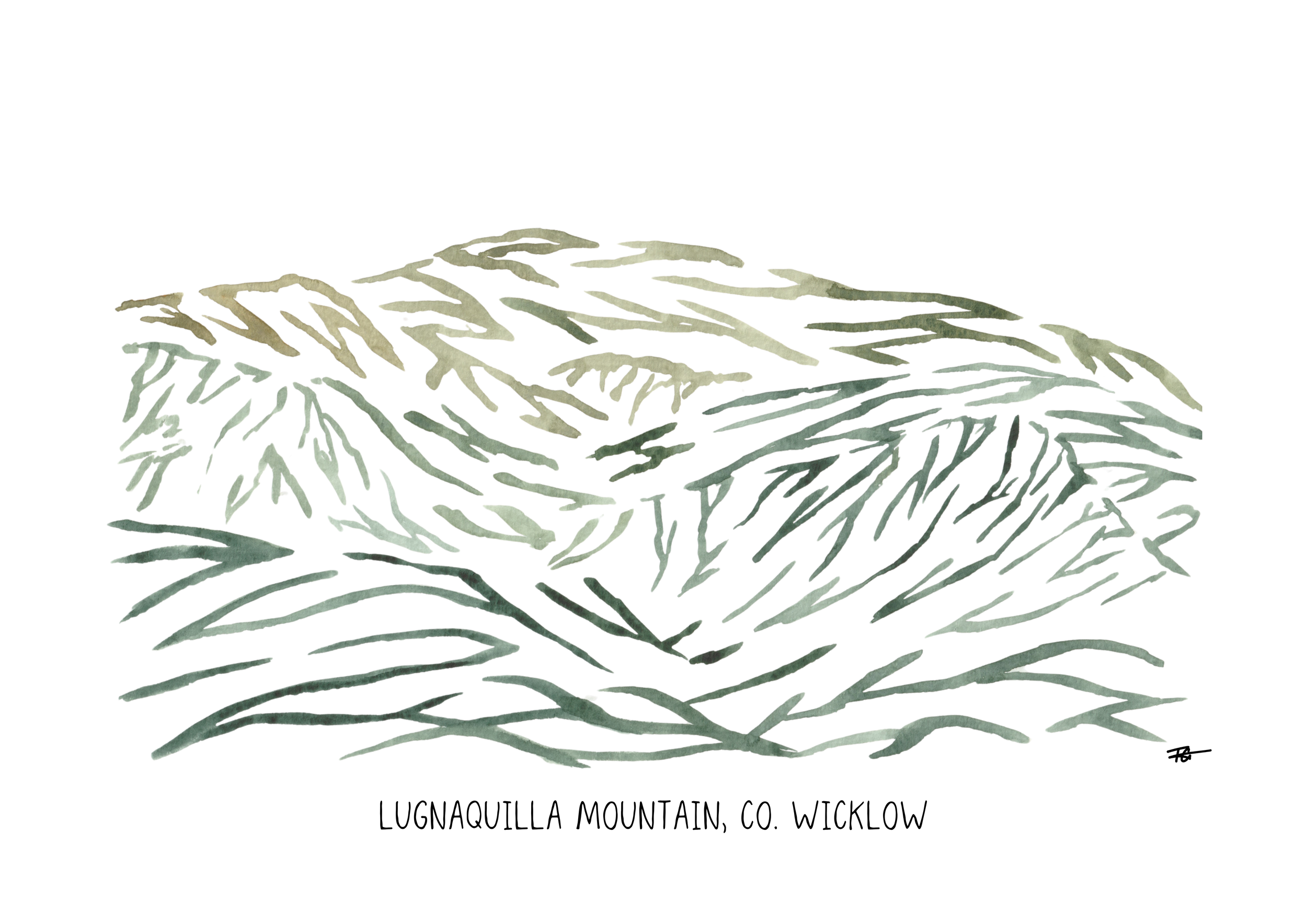 Day 79 Lugnaquilla Mountain.png