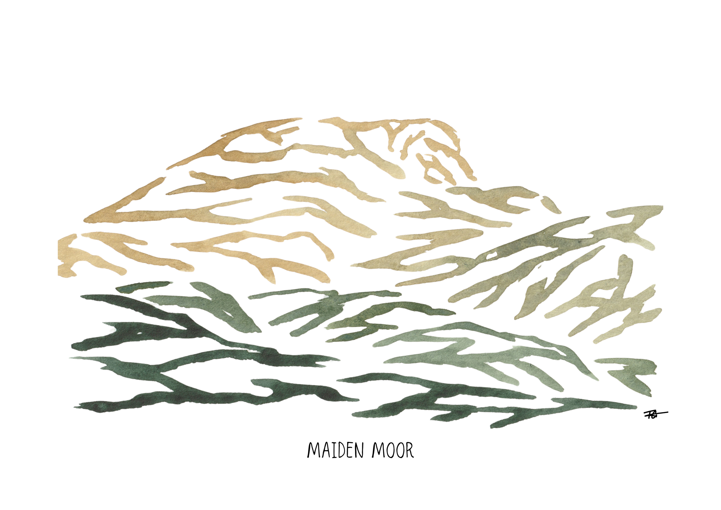 Day 56 Maiden Moor.png