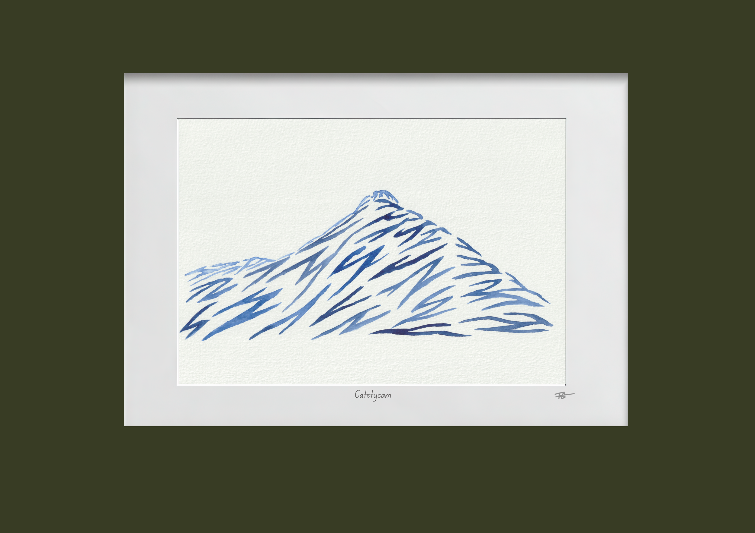 Day 68 Catstycam.png