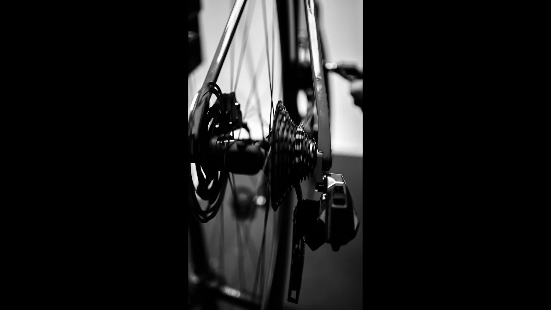 Ceratura Catena Extra Watt