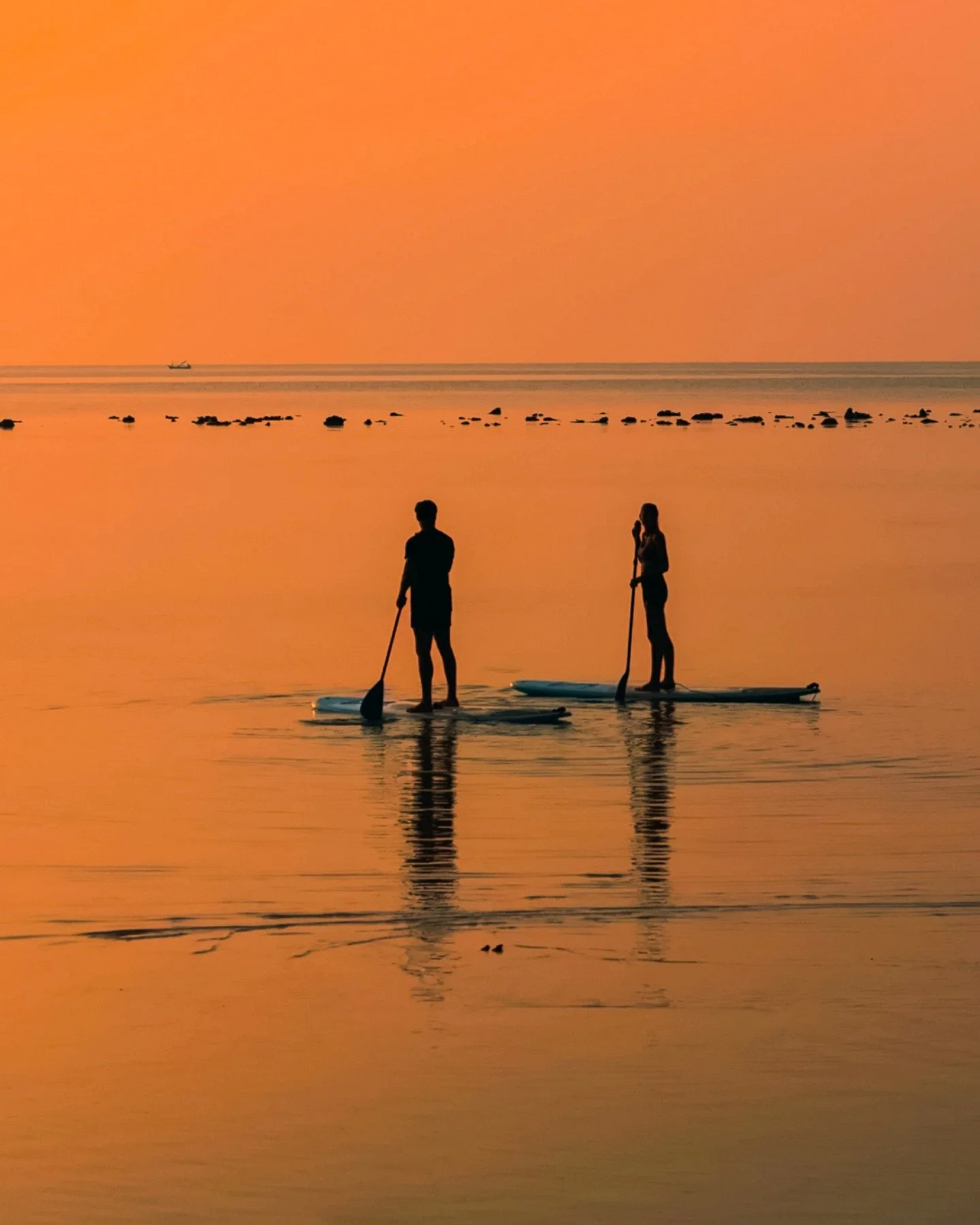 Escape the chaos and embrace the island mood, Let every wave carry you into the fun! 🌴🌊

#TolaniResortKohSamui #KohSamui #TropicalVibes #ResortLife #Thailand