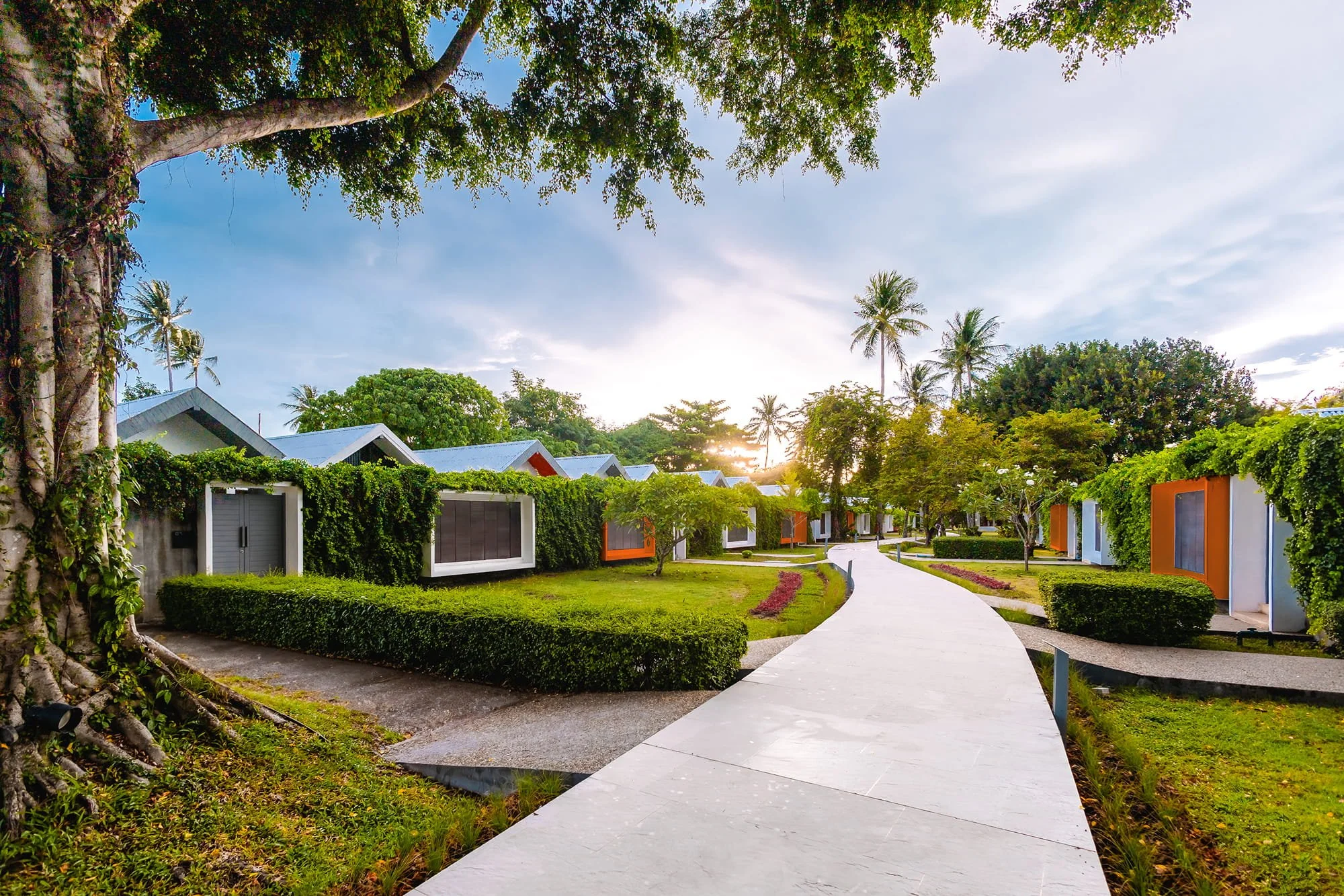 Pathway through a tropical garden with modern small houses on each side, lush green trees, and a sunset sky