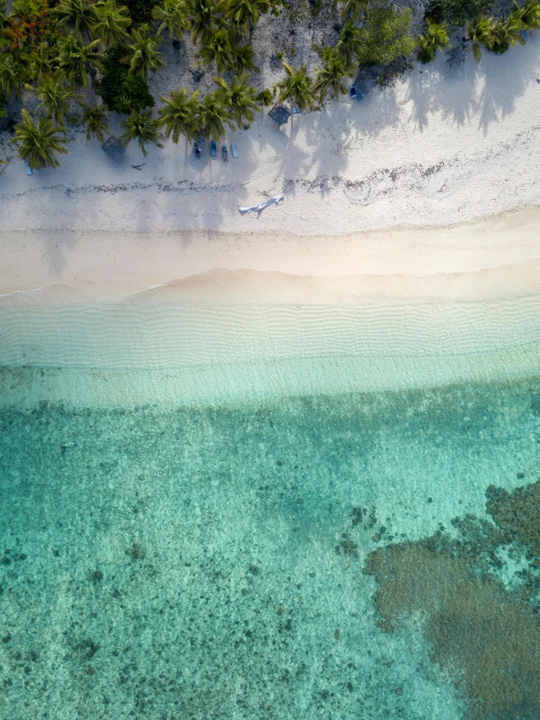 An aerial view of a beach with white sand, clear turquoise water, and lush green palm trees.