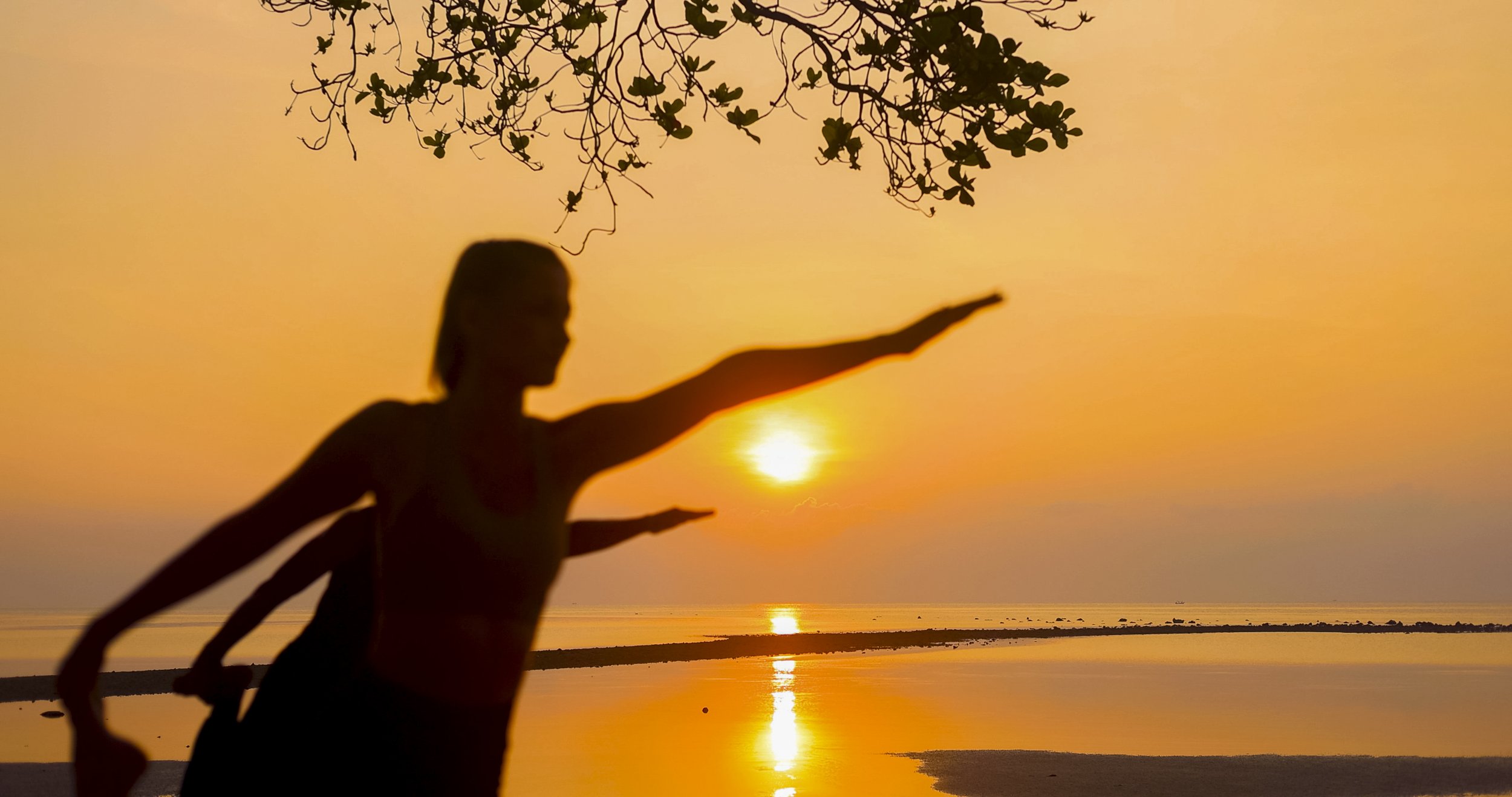Silhouette of a woman practicing yoga or stretching on the beach at sunset with the sun low on the horizon, a tree in the foreground, and calm water reflecting the orange sky.