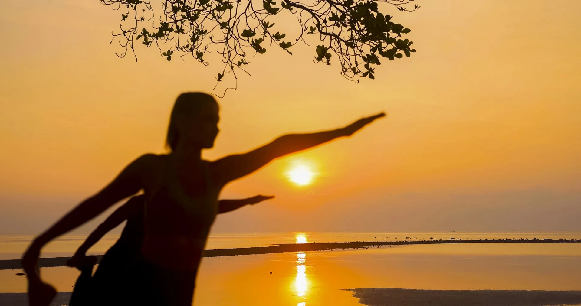 Silhouette of a person doing a yoga pose at sunrise or sunset on the beach with tree branches overhead.
