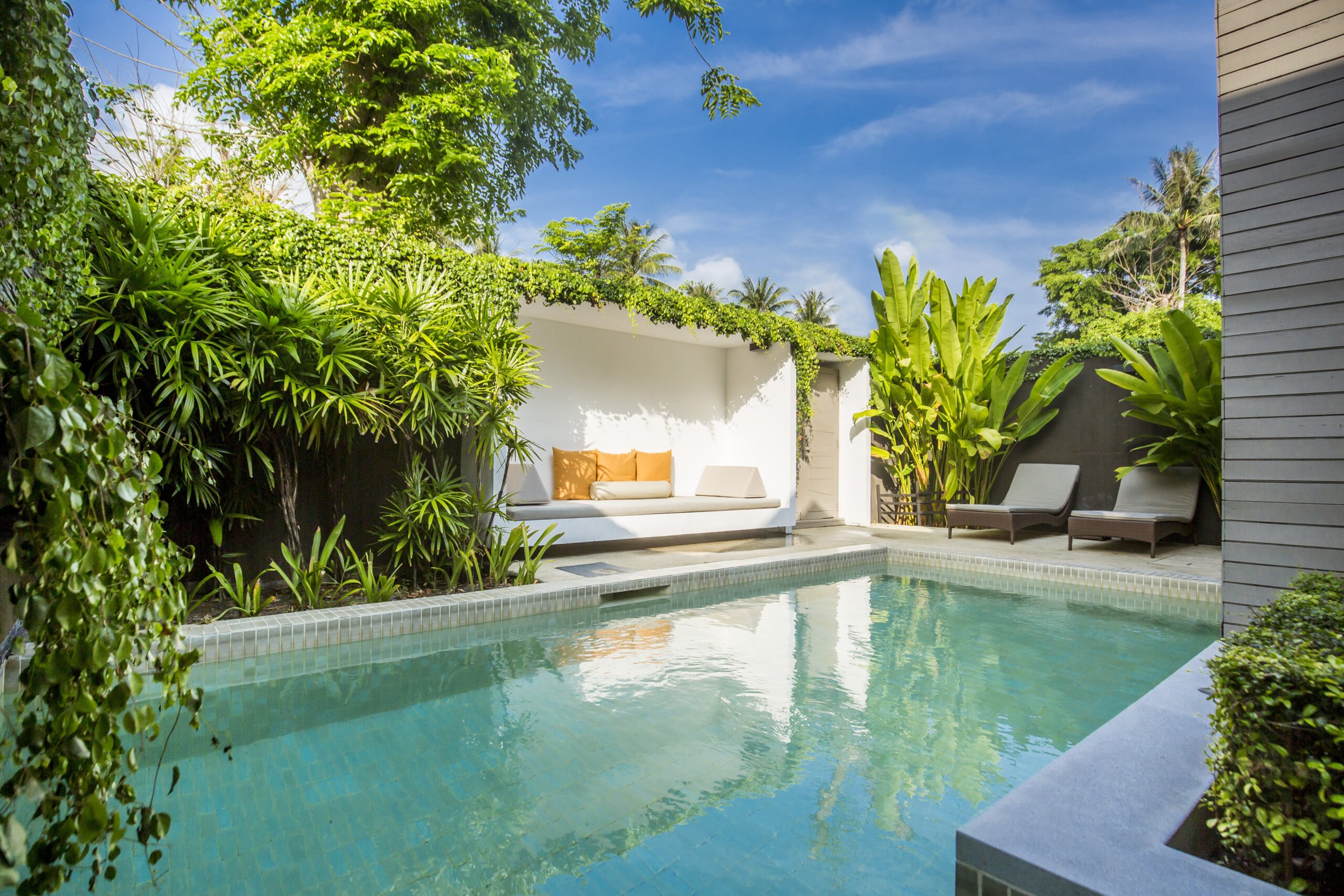 Pool surrounded by green plants and outdoor furniture, with a blue sky overhead.