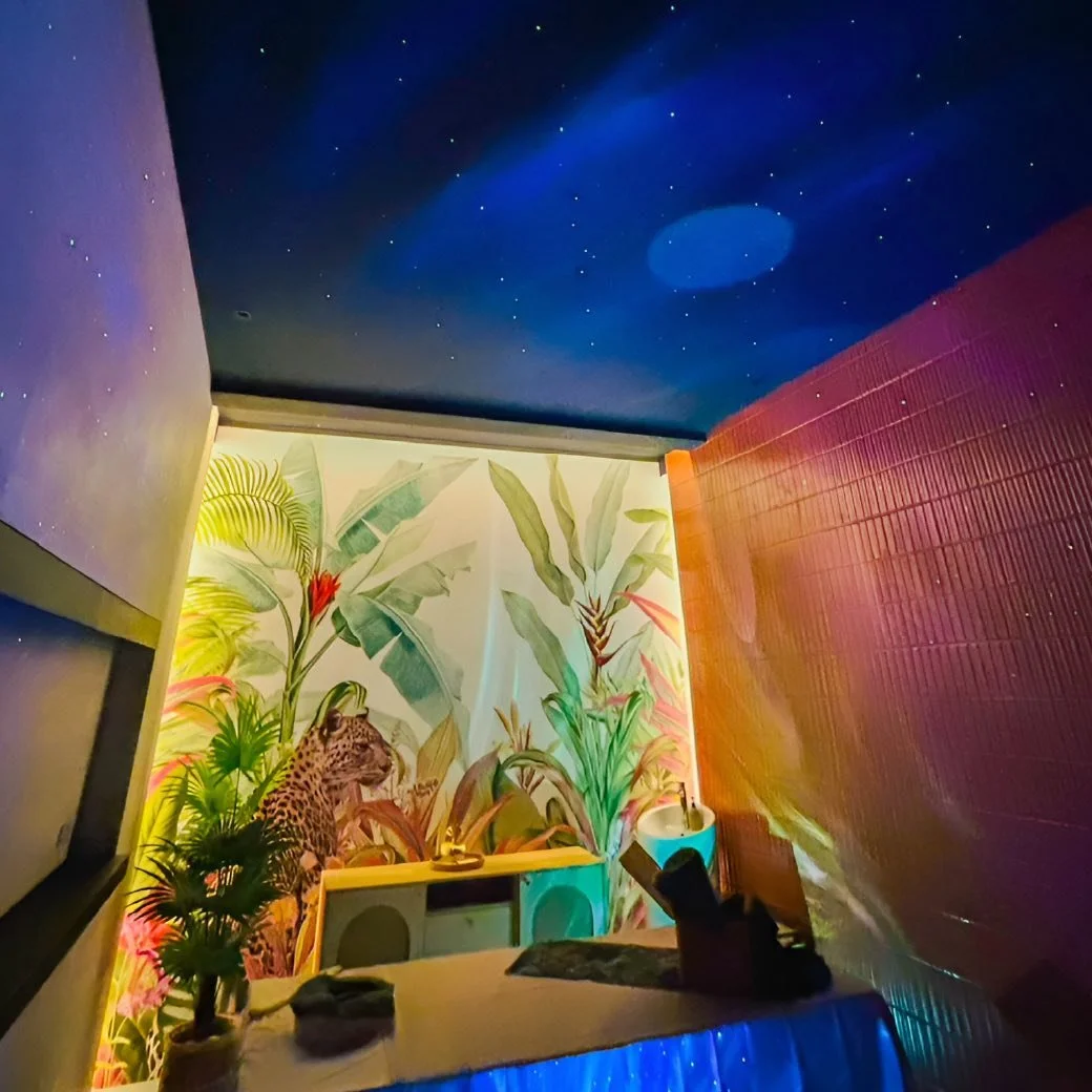 A wellness or massage room with a jungle-themed mural, a ceiling painted like a starry night sky, and ambient lighting.