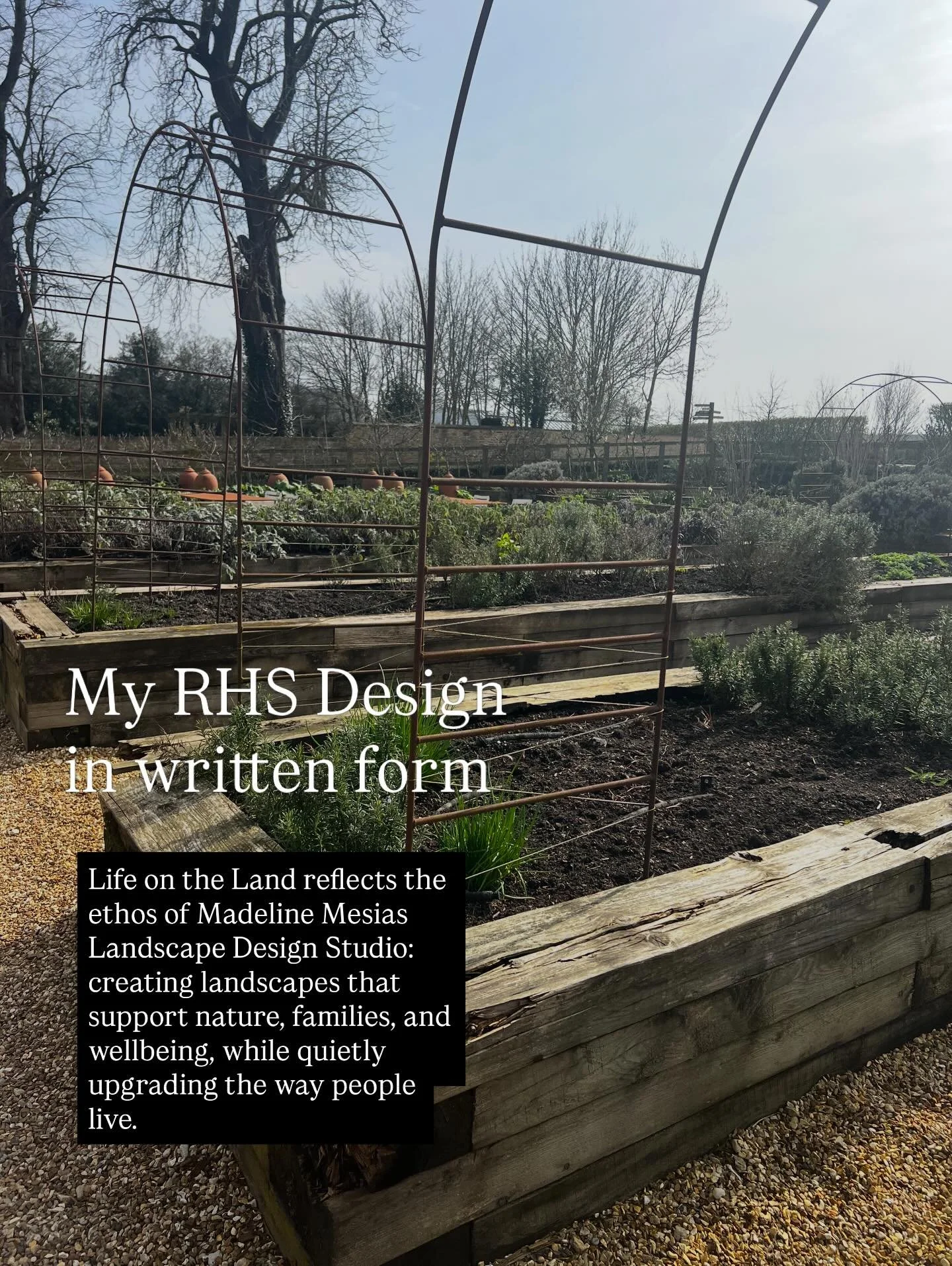 Some details about how my design came about and the power behind a well planned outdoor environment 🙌🌱💚🪴