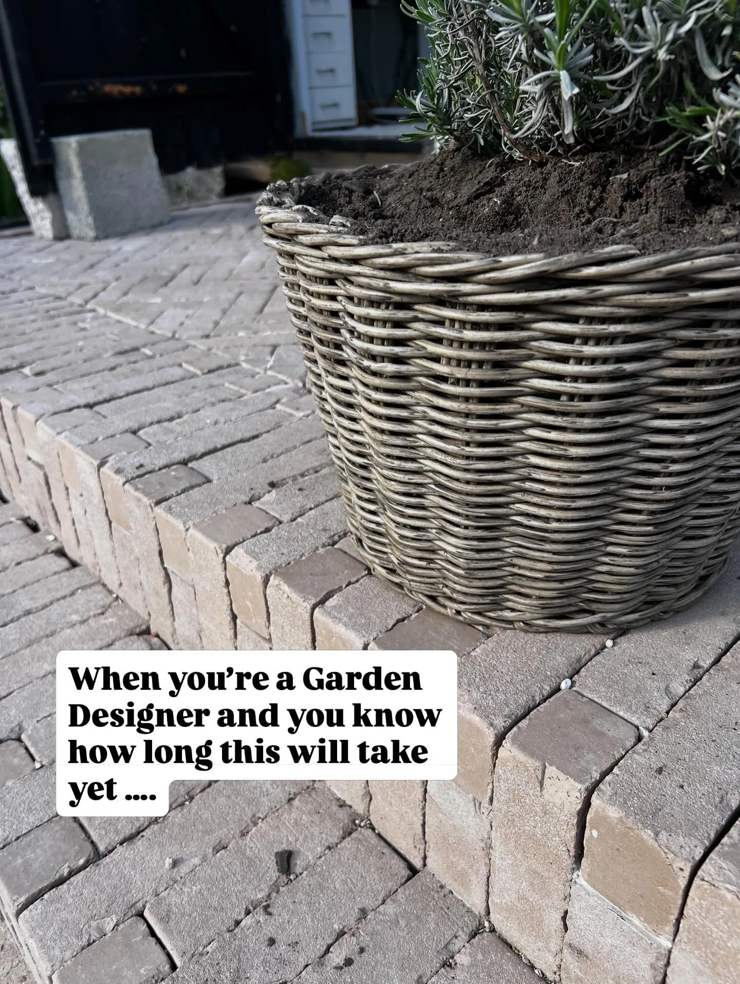 Sometimes my heart rules , despite needing structure my creativity needs attention. My garden is a great place to use my creativity before implementing ideas elsewhere . This space outside my studio is inspired by Chelsea show visits and GWL show las