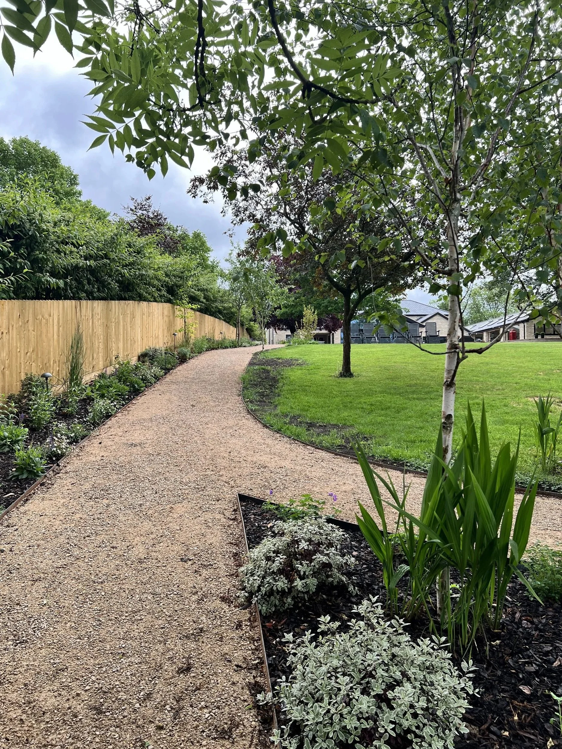 Almond+pathway.jpg