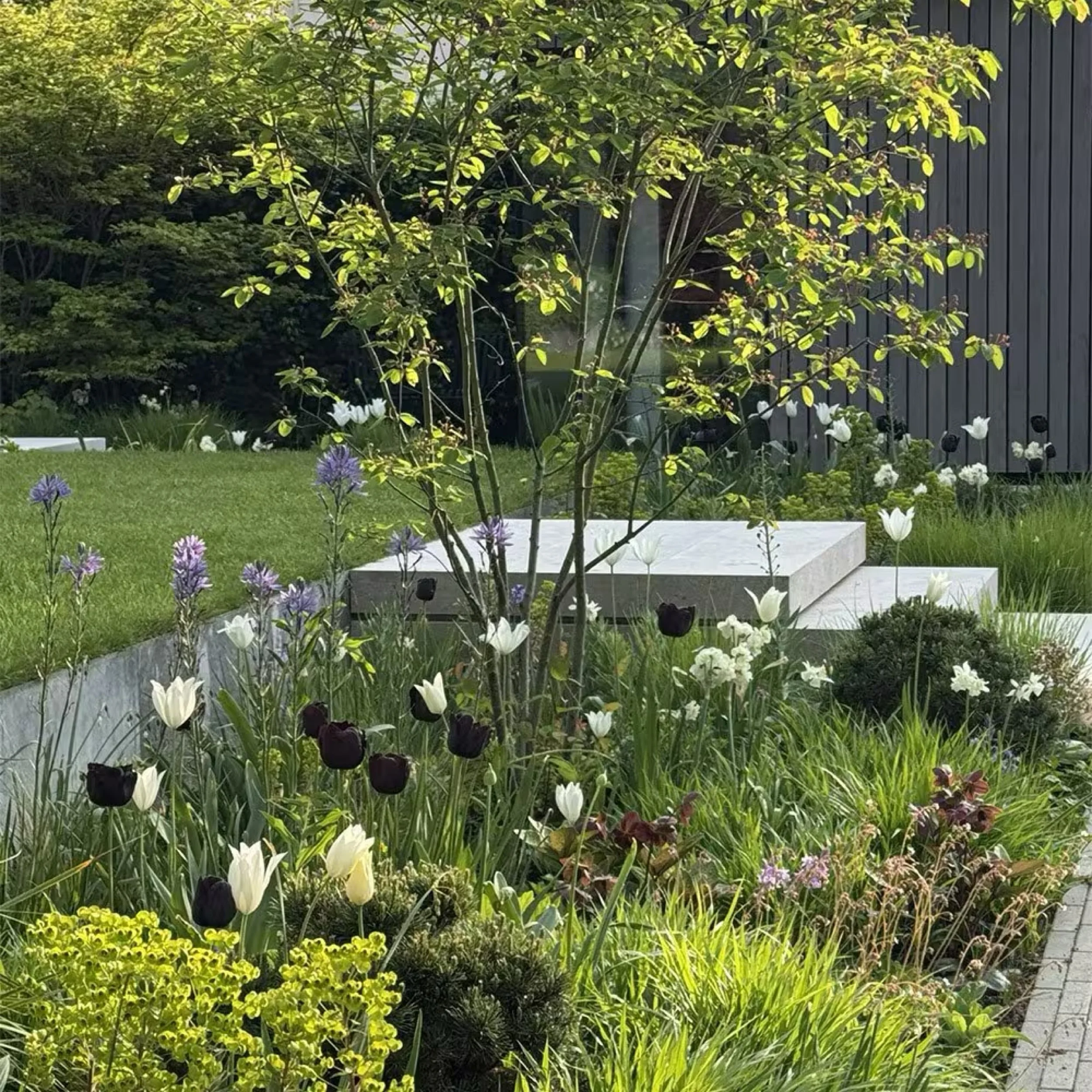 It&rsquo;ll soon be bulb time! 🌷

I&rsquo;m so excited to say I&rsquo;ve just ordered 1,689 bulbs for one of our clients&rsquo; gardens in Market Harborough.

I&rsquo;ve chosen a beautiful mix of spring-flowering bulbs, including some gorgeous varie