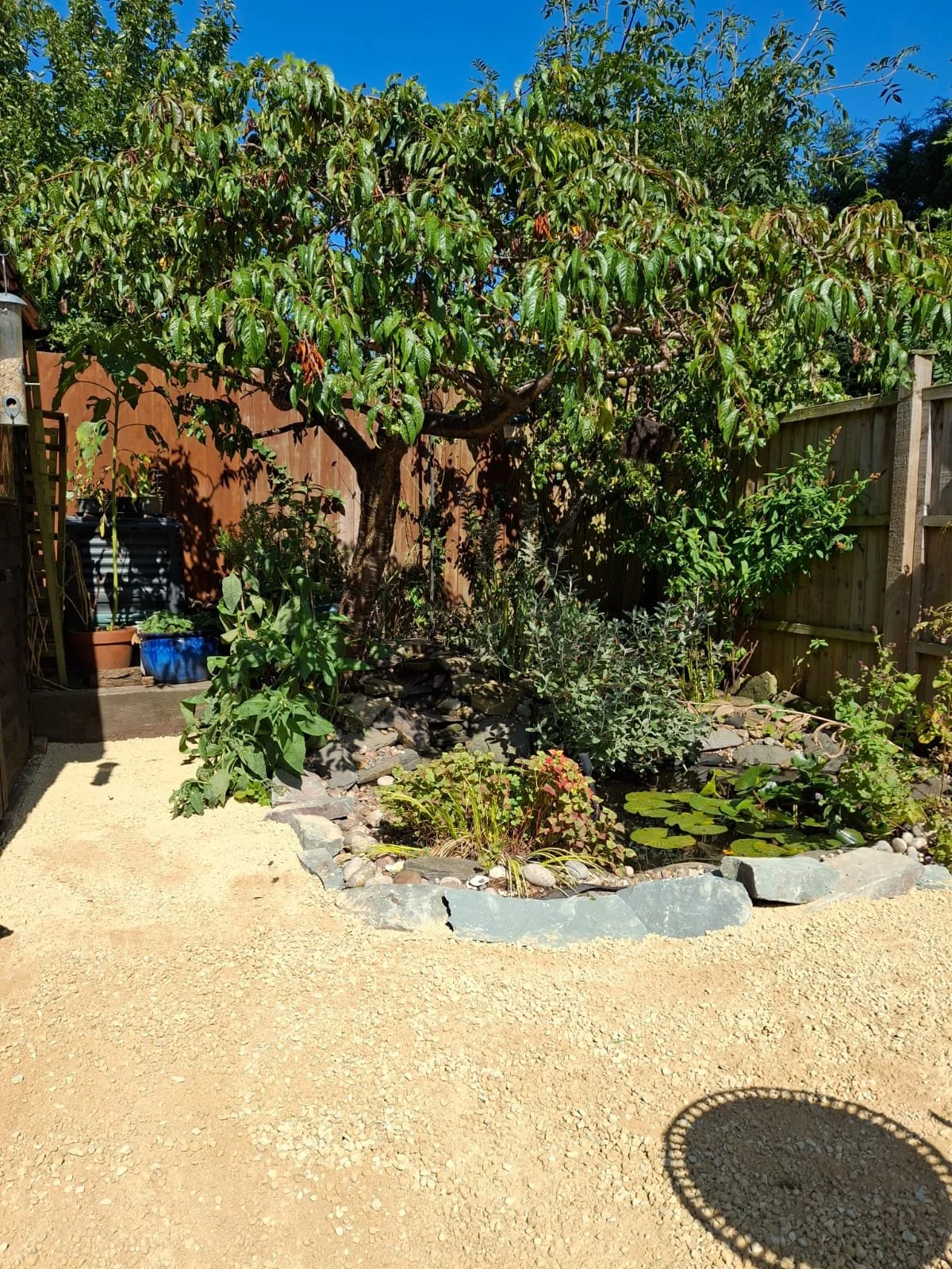 Lorem ipsum dolor sit amet, consectetur adipiscing elit. Phasellus eget fringilla massa, nec egestas purus. Etiam eget tortor eu nulla feugiat commodo. Suspendisse at velit scelerisque, egestas sem in, semper neque.