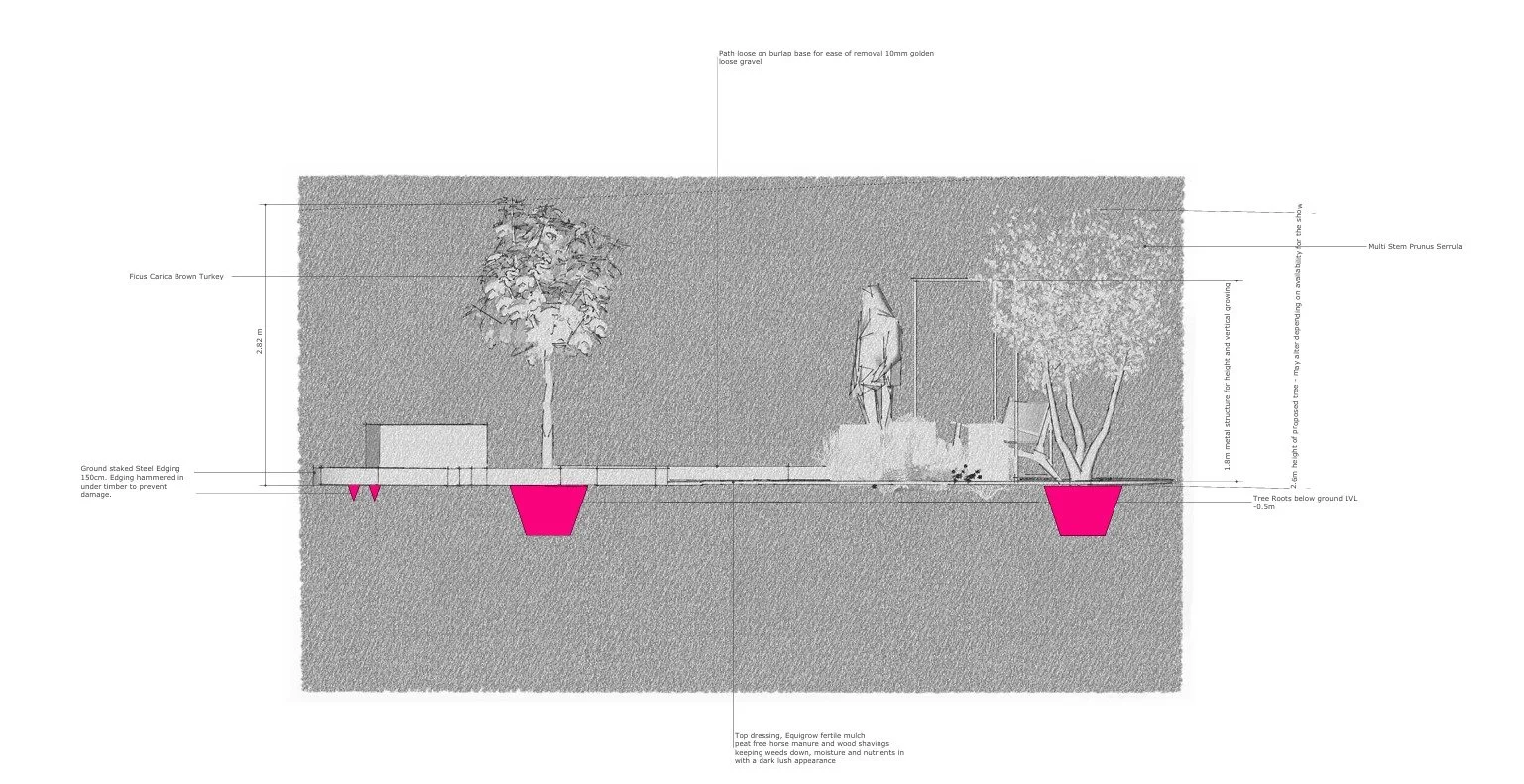 A schematic landscape design drawing showing trees, ground staking details, and planting pots highlighted in pink, with annotations describing materials, measurements, and planting instructions.