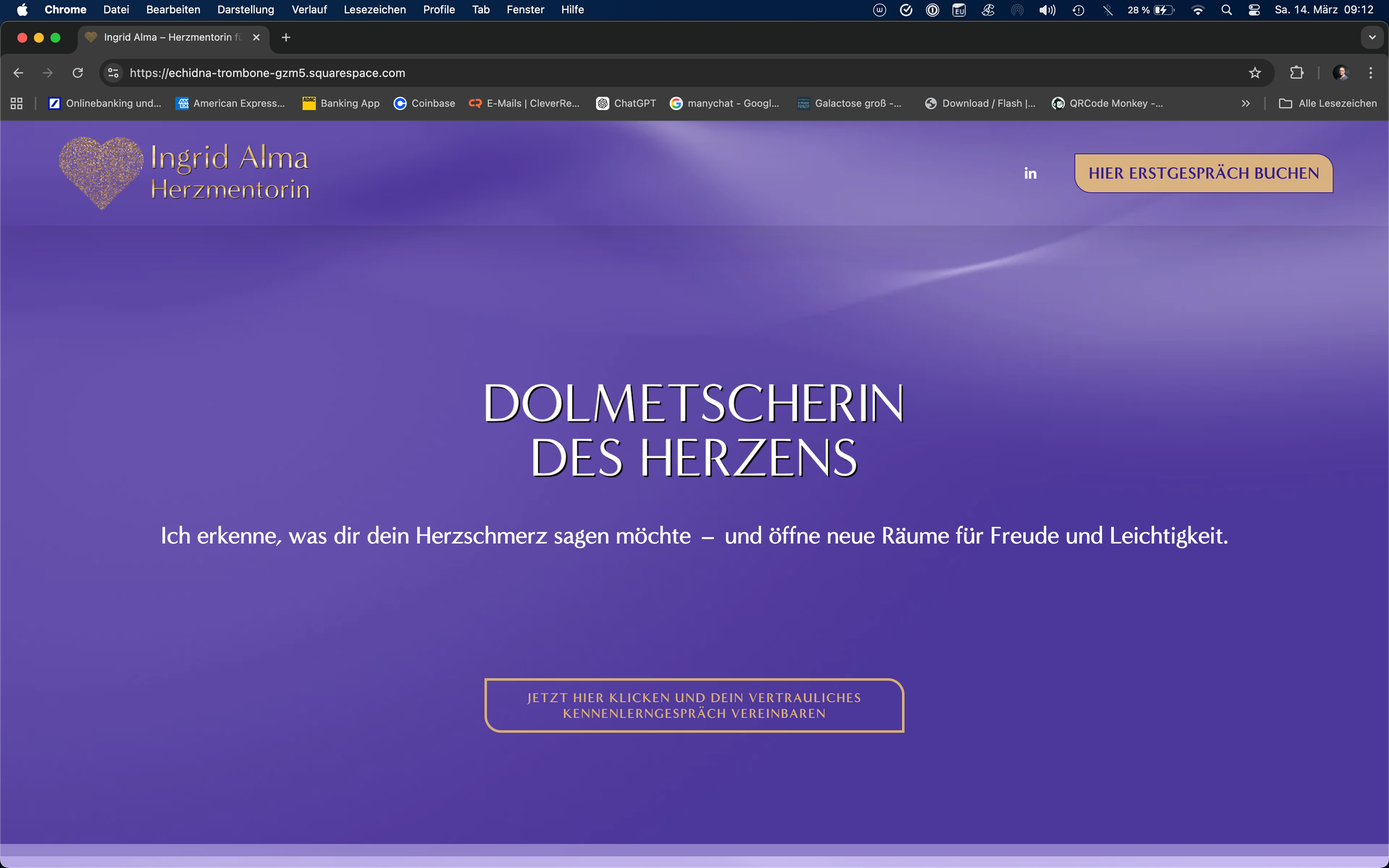 Das Brightline-Projekt