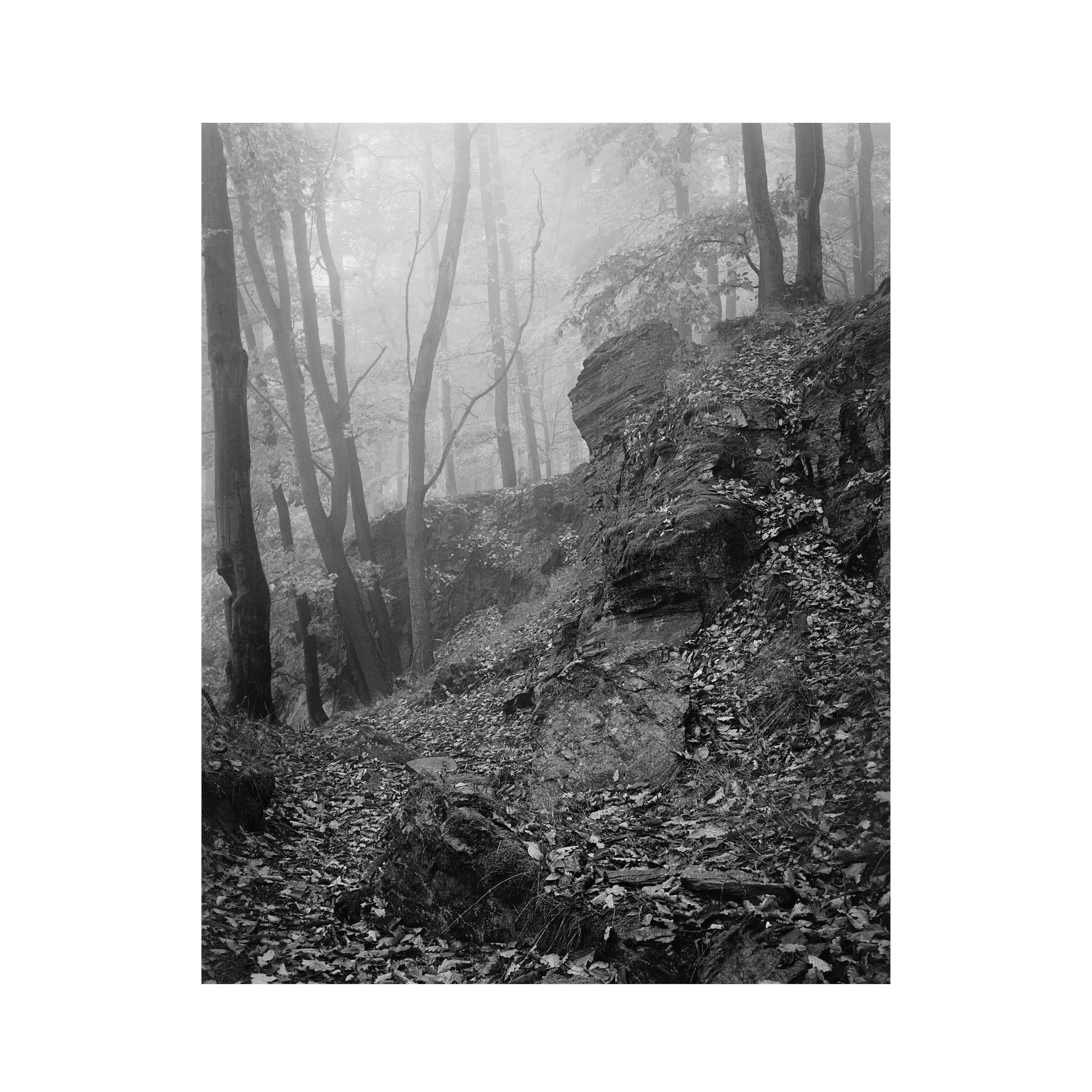 Felsen.jpeg