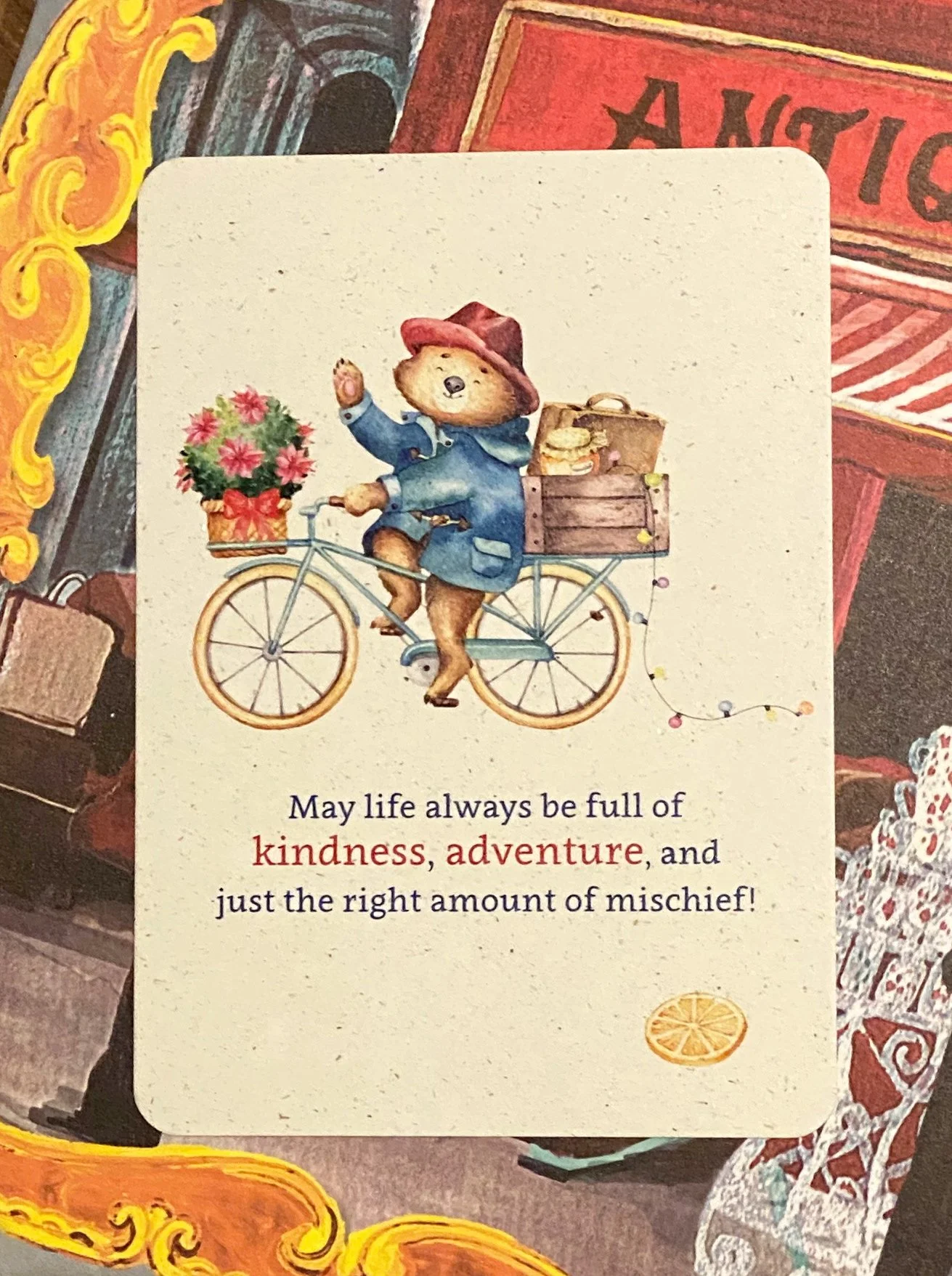 Paddington bear Adventure