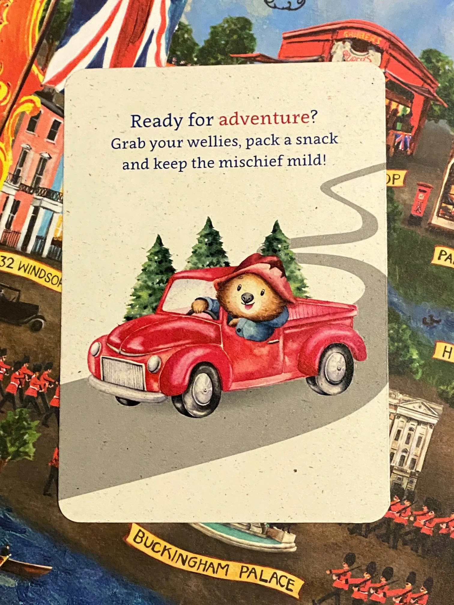 Paddington bear Wellies