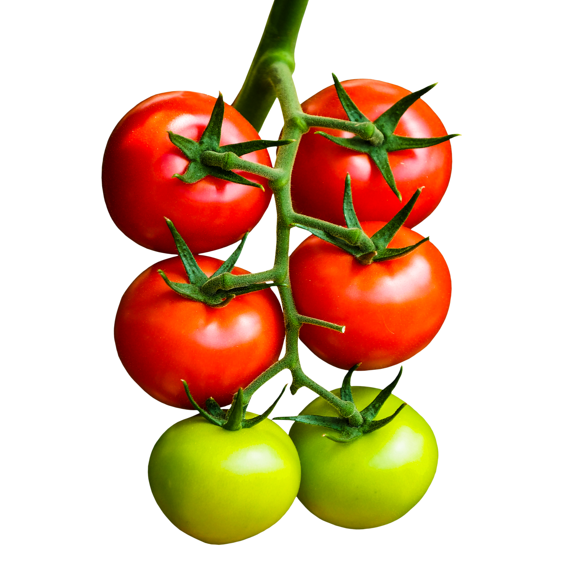 Ragazzo con cappello molto grande, seduto al banco di una panetteria, mentre sceglie il pane. Dietro di lui, una mostra di pane e prodotti da forno.