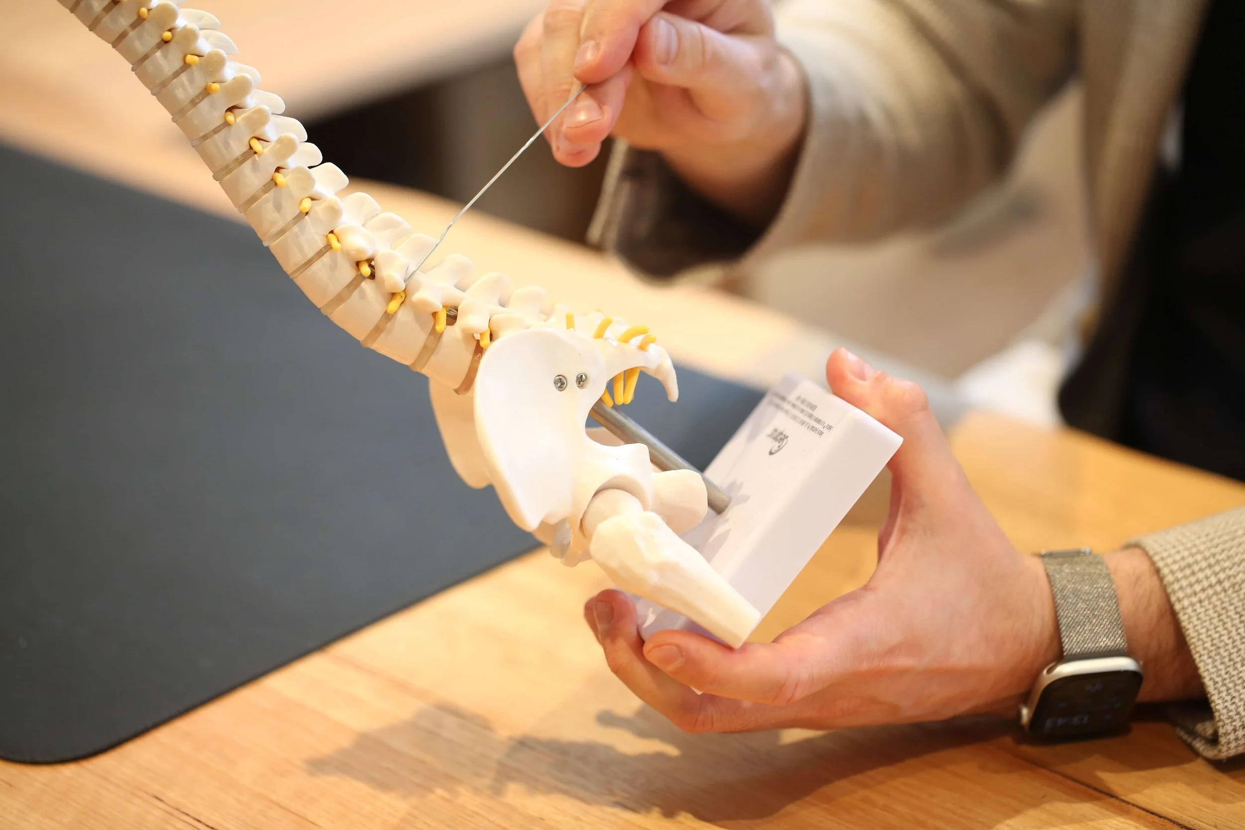 Specialist pain medicine consultation involving explanation of spinal anatomy during a complex pain assessment.