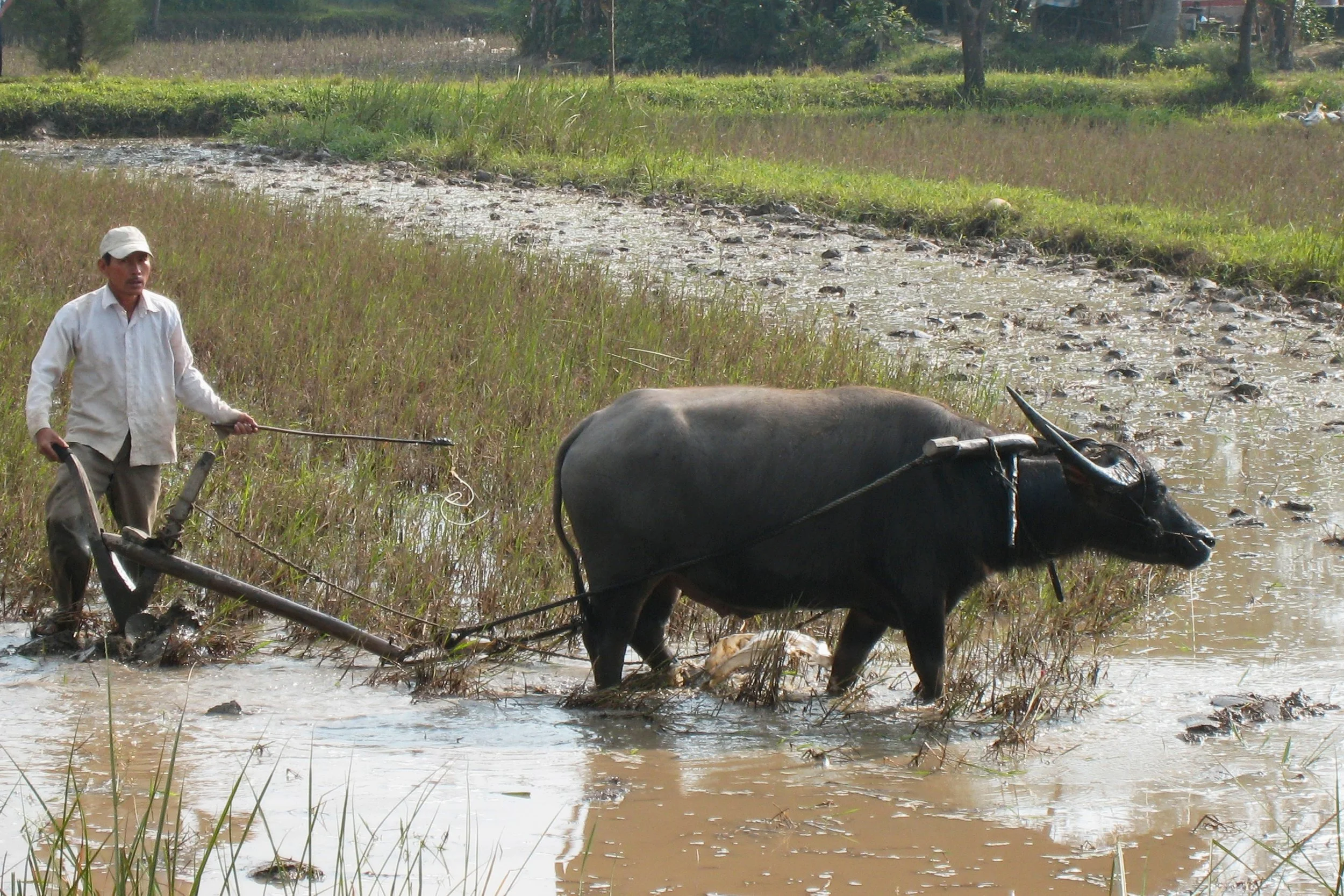 eau vie_3 impression.jpg