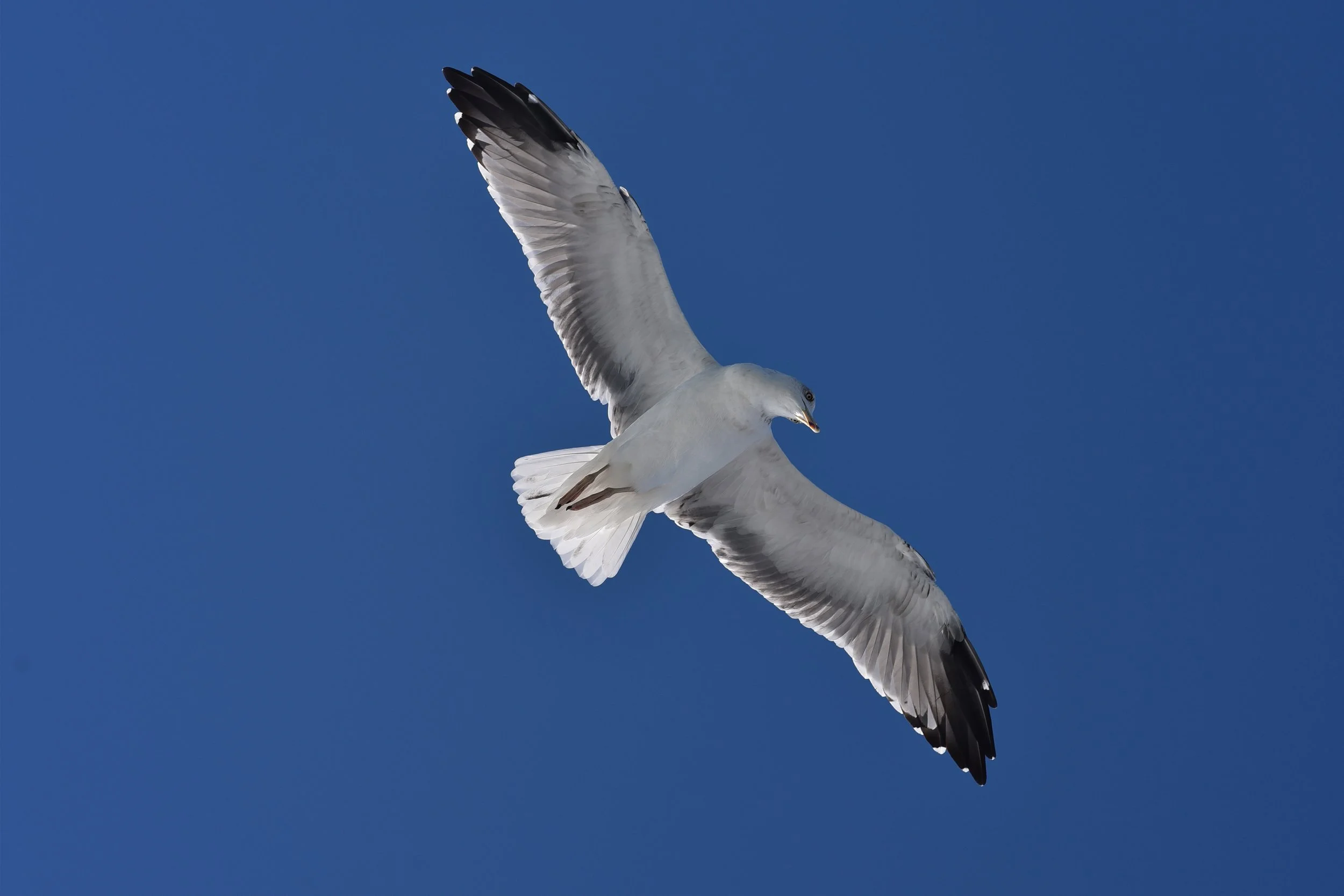 EXPO OK DEF_6059.jpg