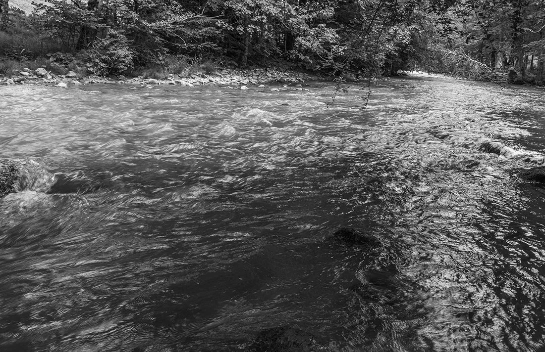 michelAbondance fev2022.jpg