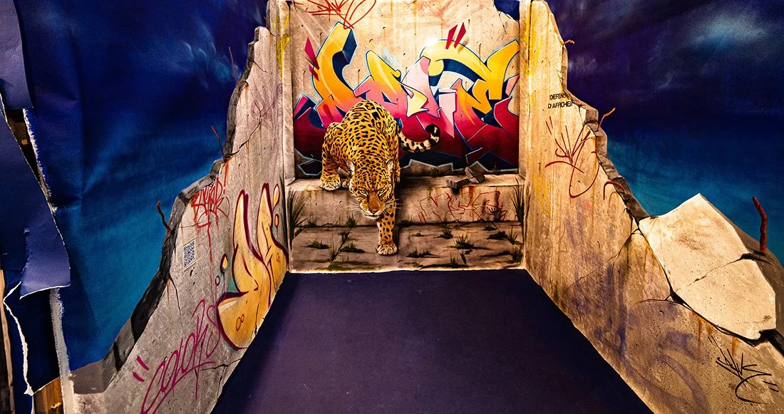 michelfestival colors_3.jpg