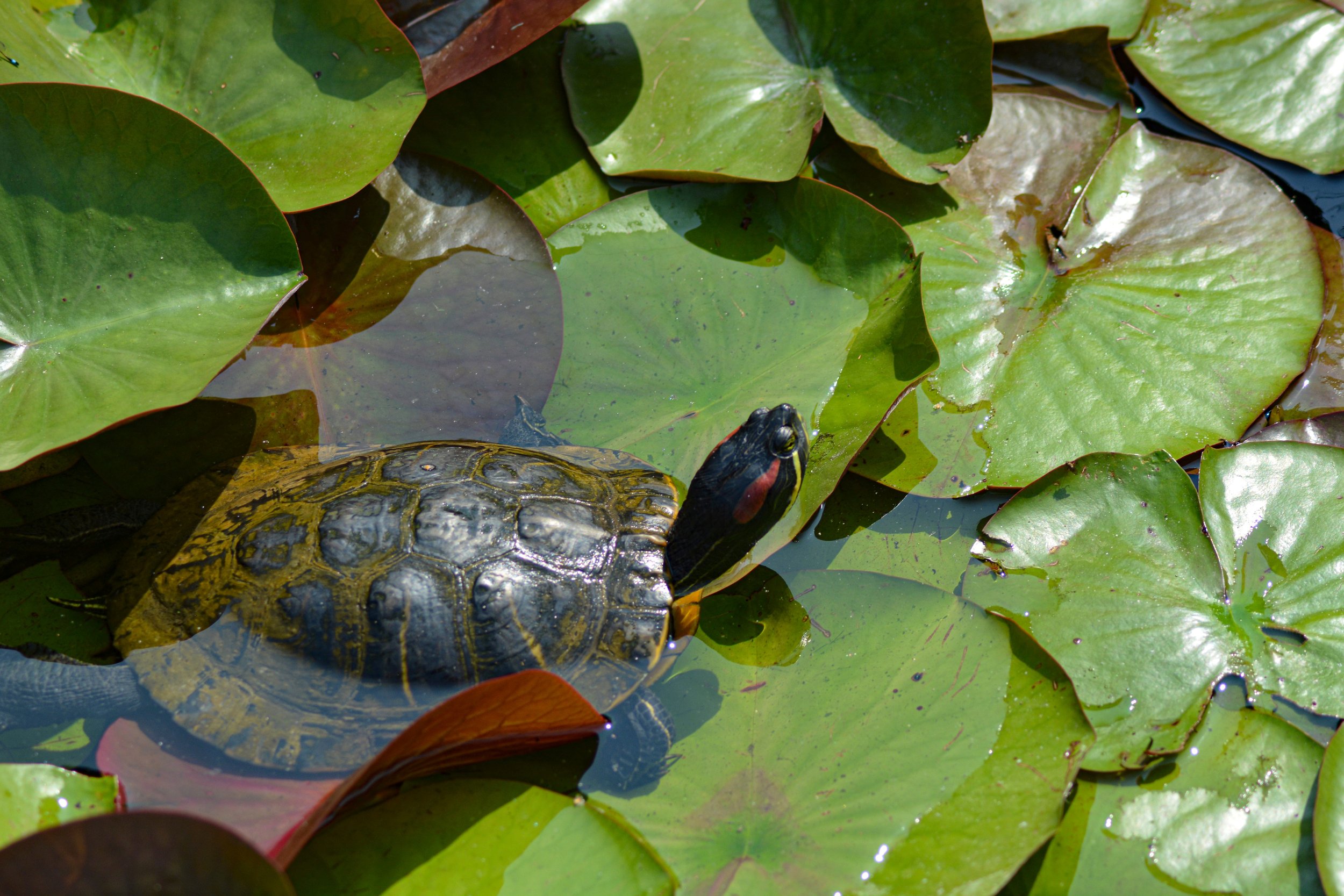 eau vie i philippe_5.jpg