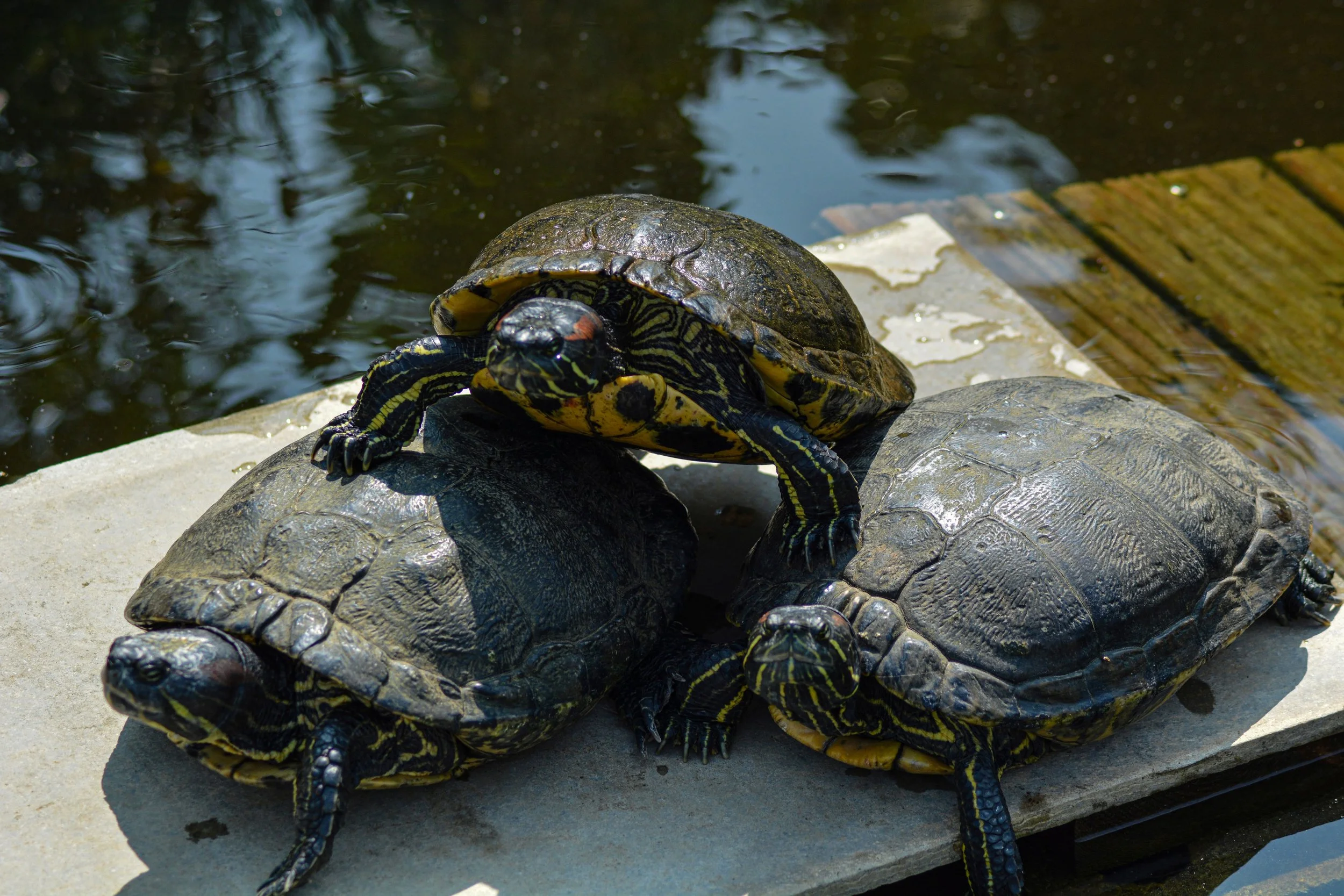 eau vie i philippe_3.jpg