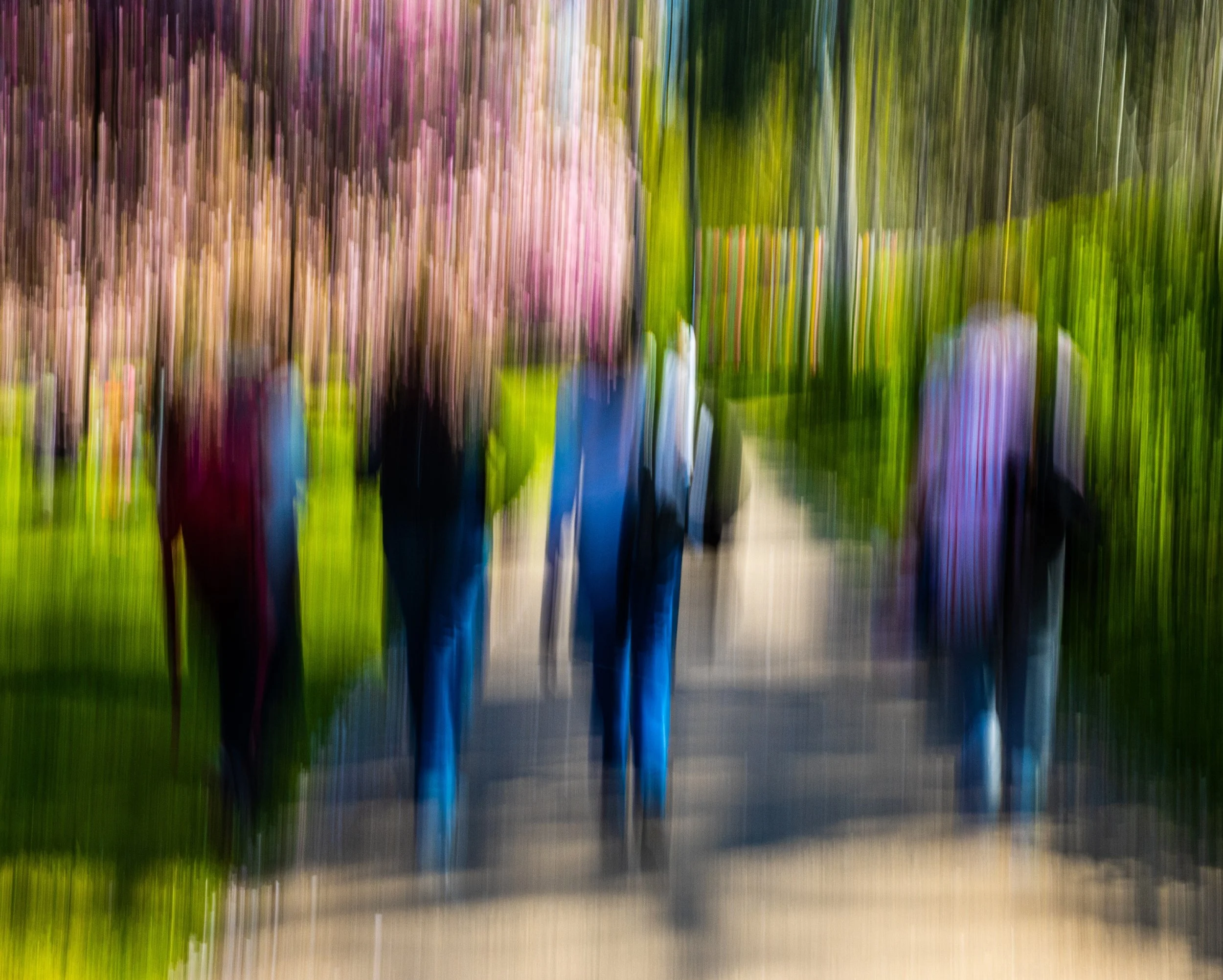 IMG_5701-2 copieFINALE.jpg